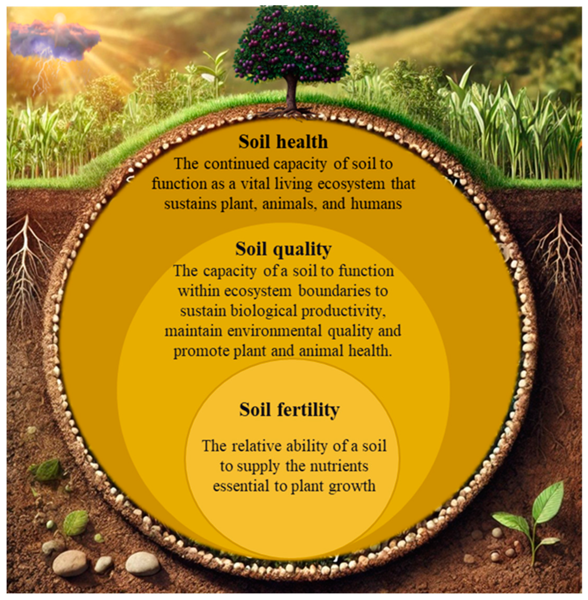 Agriculture 15 00509 g001