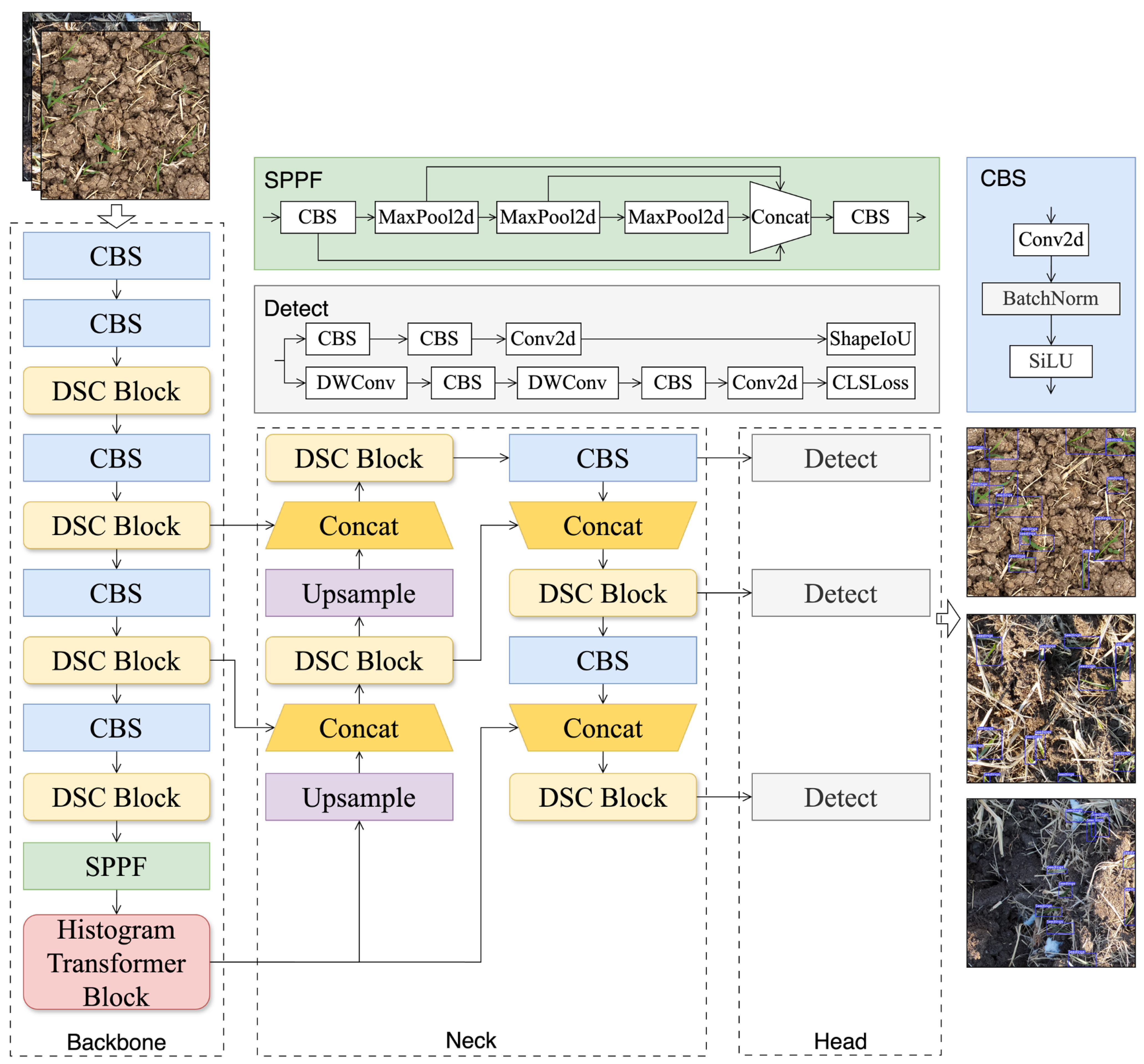 Agriculture 15 00510 g002