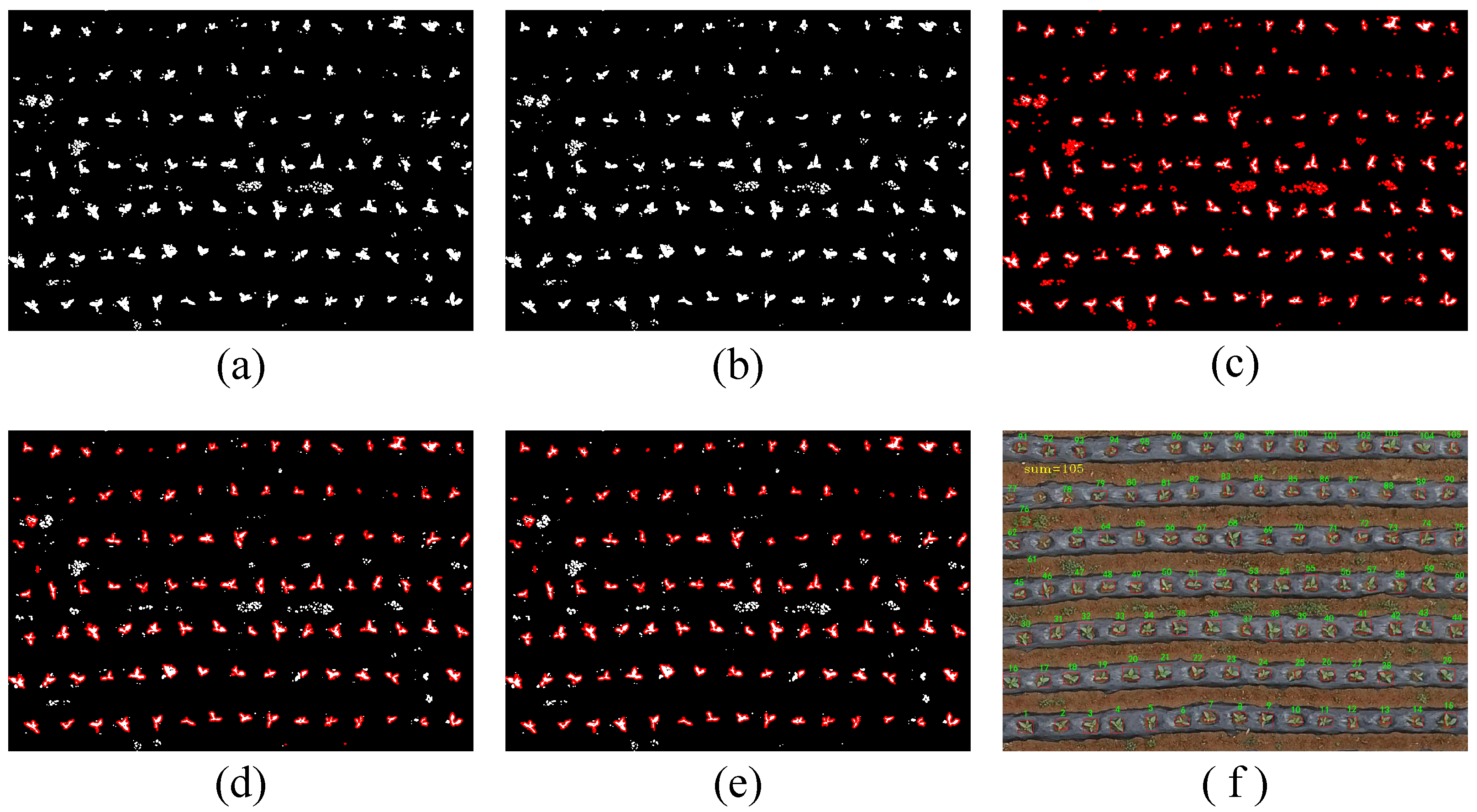 Agriculture 15 00511 g010