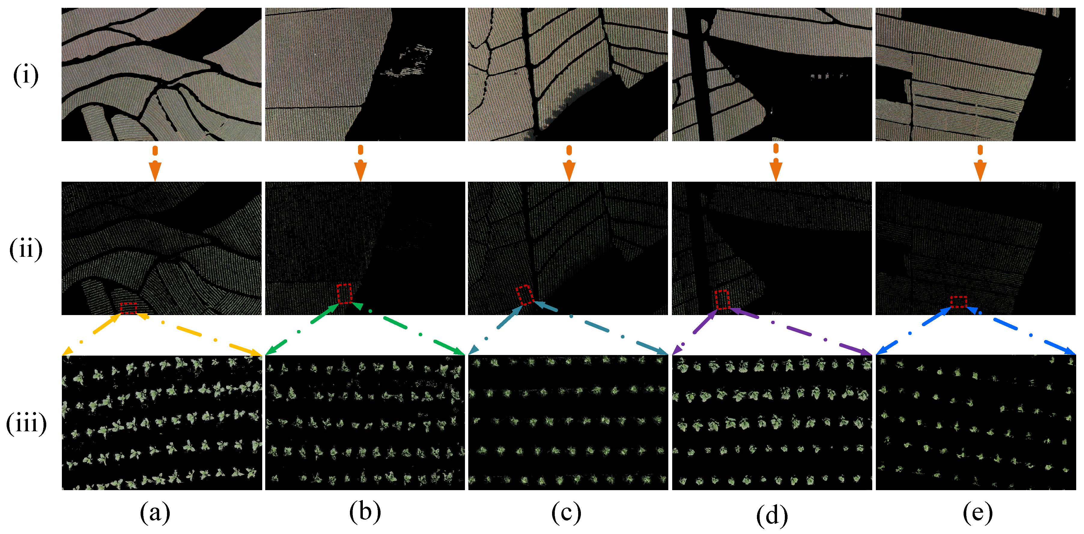 Agriculture 15 00511 g015