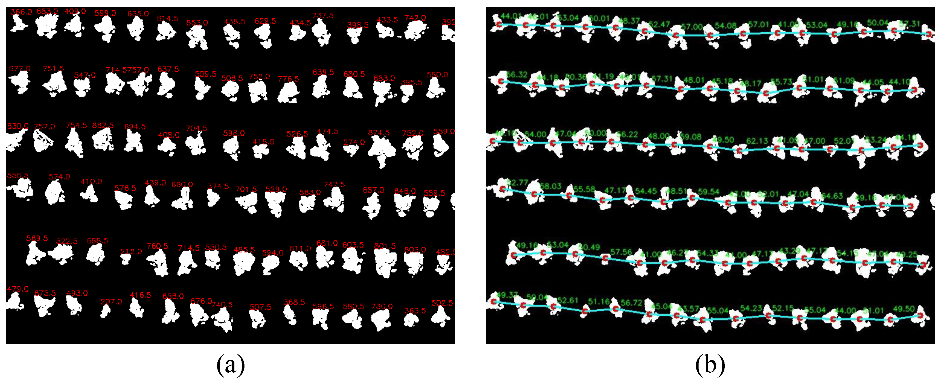 Agriculture 15 00511 g016