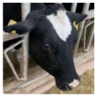 Agriculture 15 00516 i017