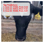 Agriculture 15 00516 i022