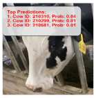 Agriculture 15 00516 i023