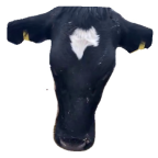 Agriculture 15 00516 i026