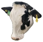 Agriculture 15 00516 i027