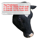 Agriculture 15 00516 i029