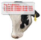 Agriculture 15 00516 i031