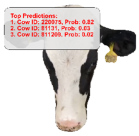 Agriculture 15 00516 i032