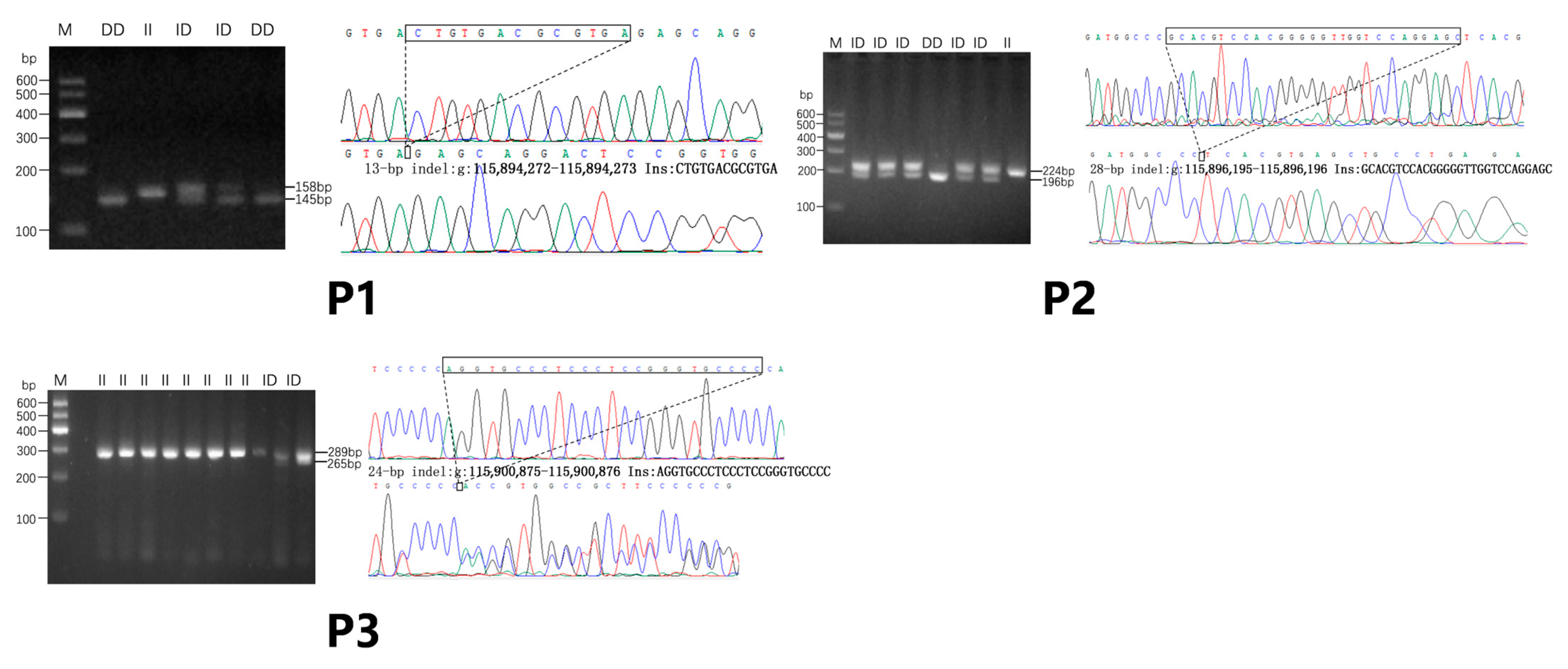 Agriculture 15 00518 g002