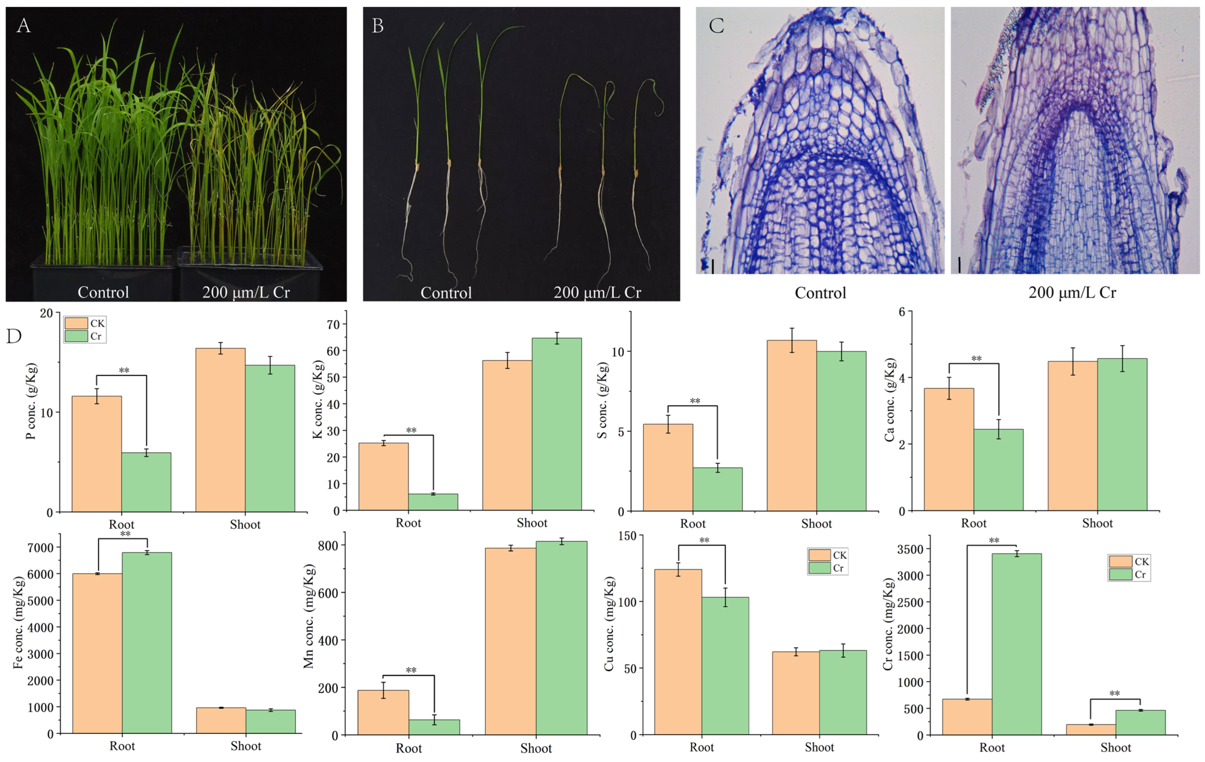 Agriculture 15 00519 g001