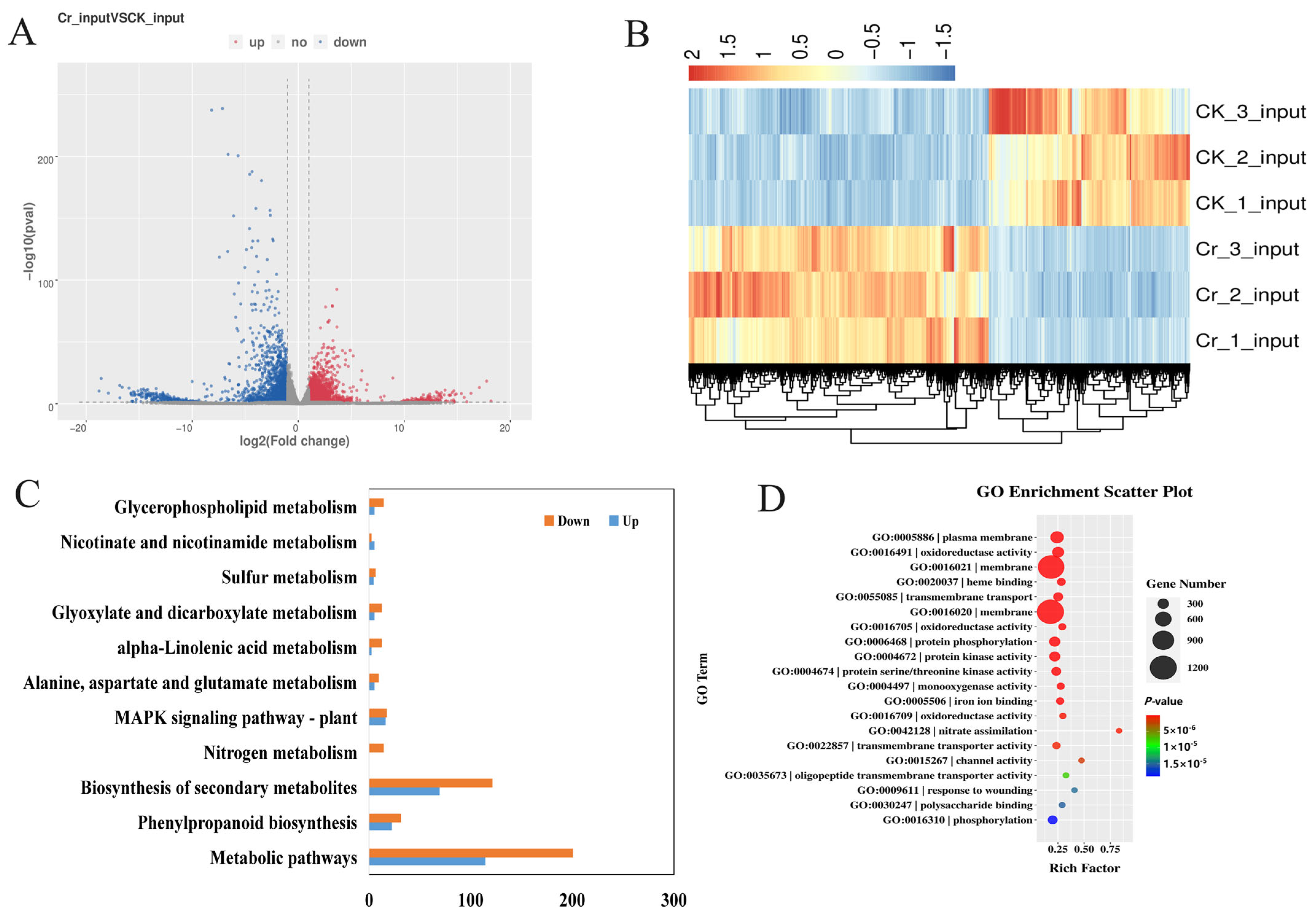 Agriculture 15 00519 g003