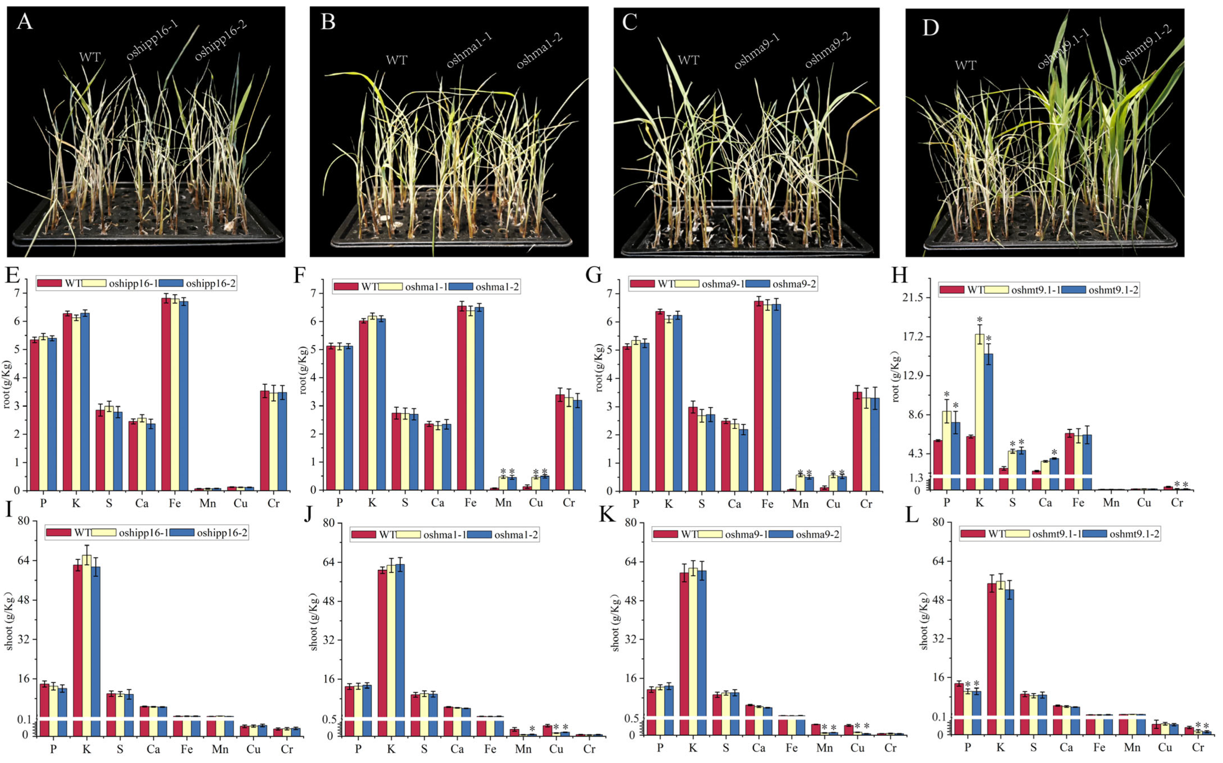 Agriculture 15 00519 g005