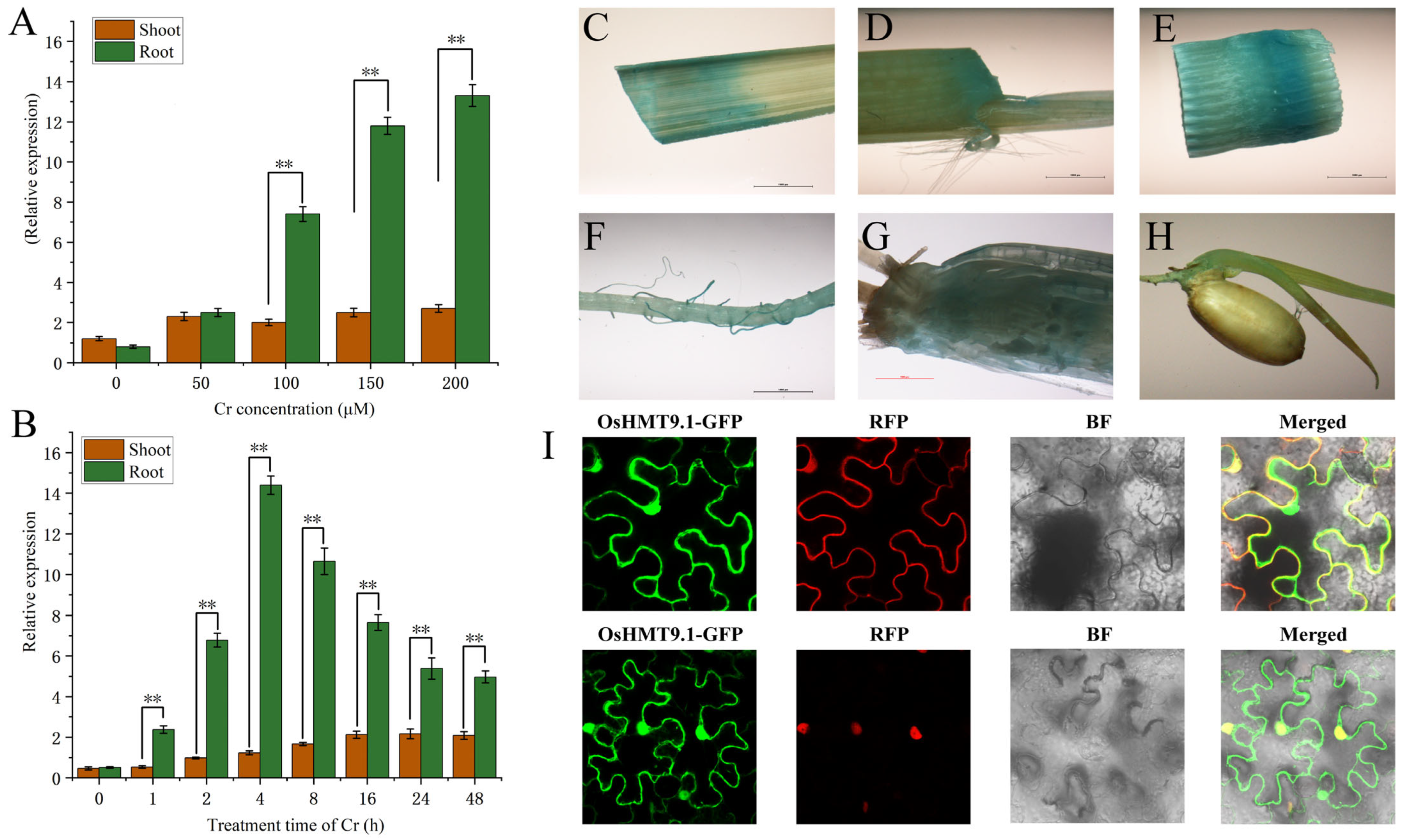 Agriculture 15 00519 g006
