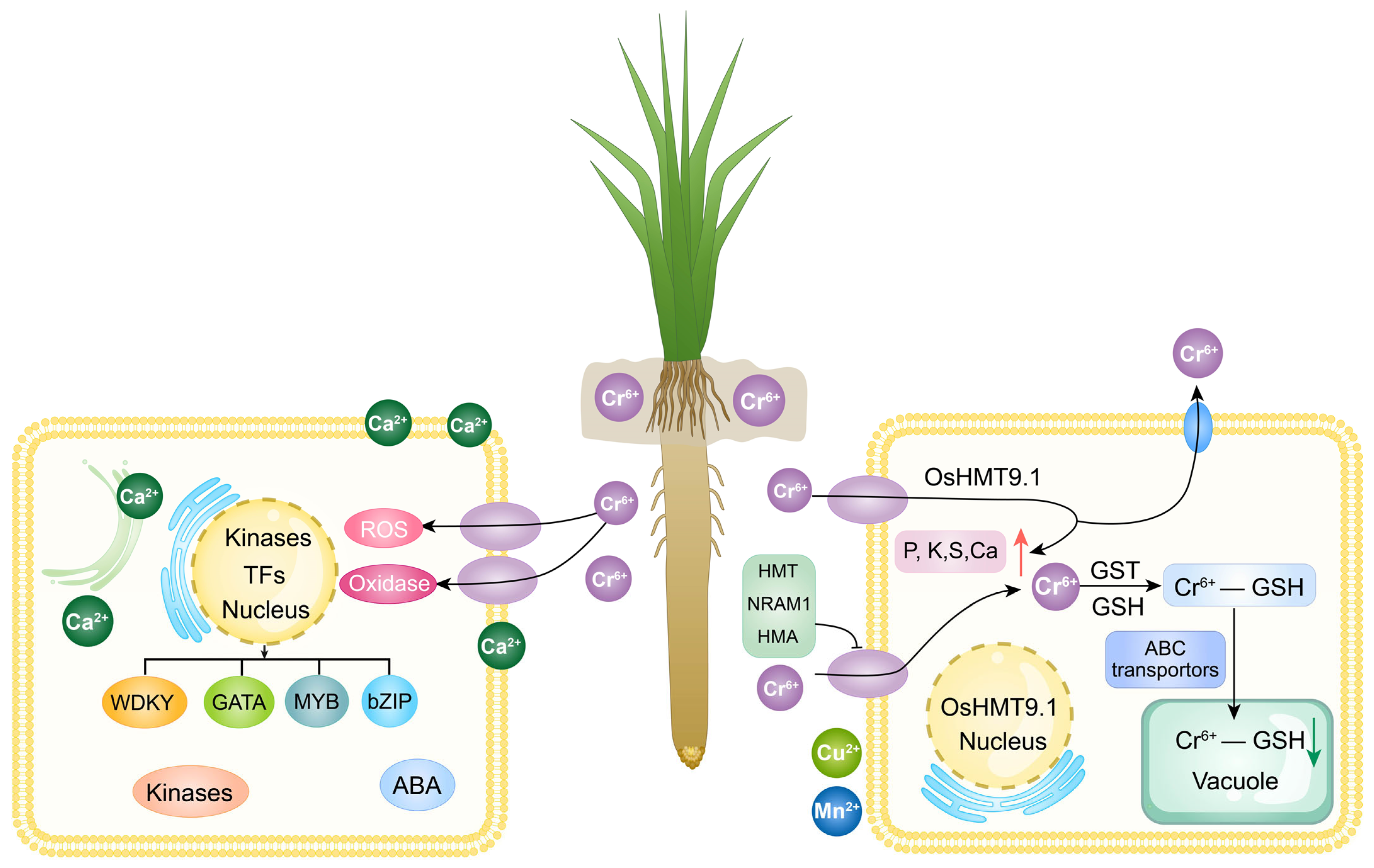 Agriculture 15 00519 g007