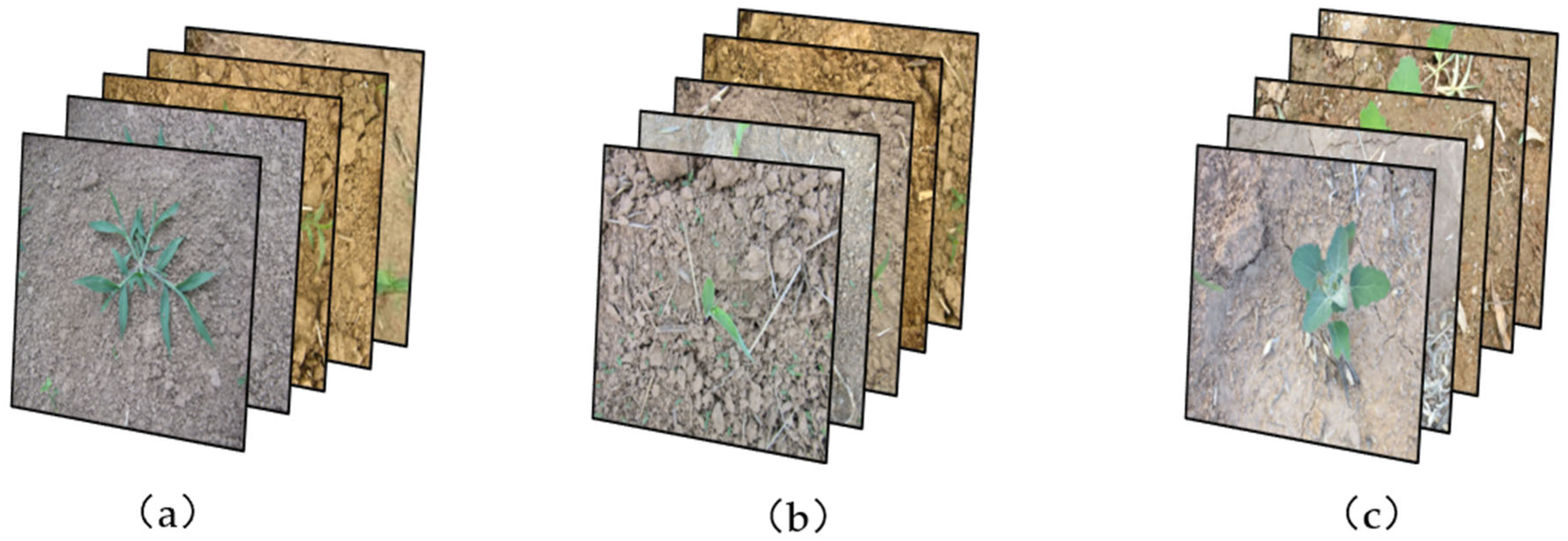 Agriculture 15 00521 g001