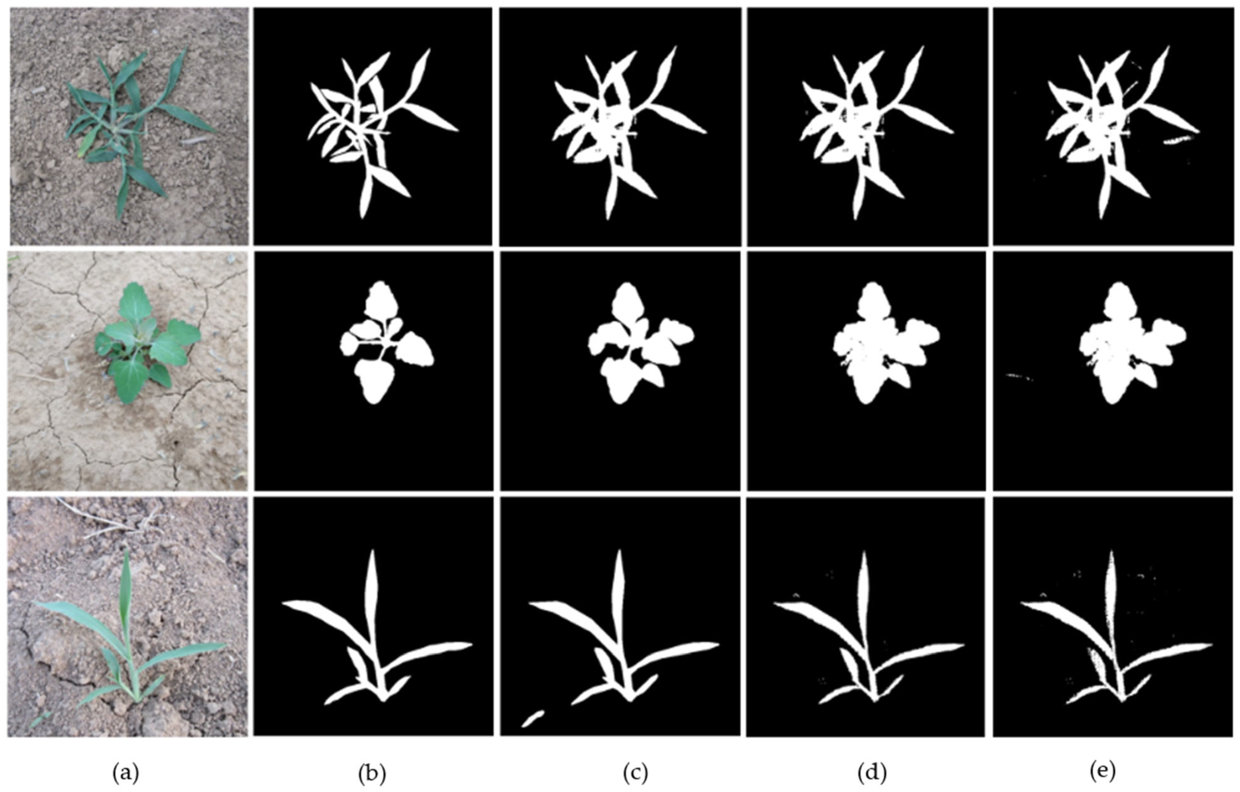 Agriculture 15 00521 g002