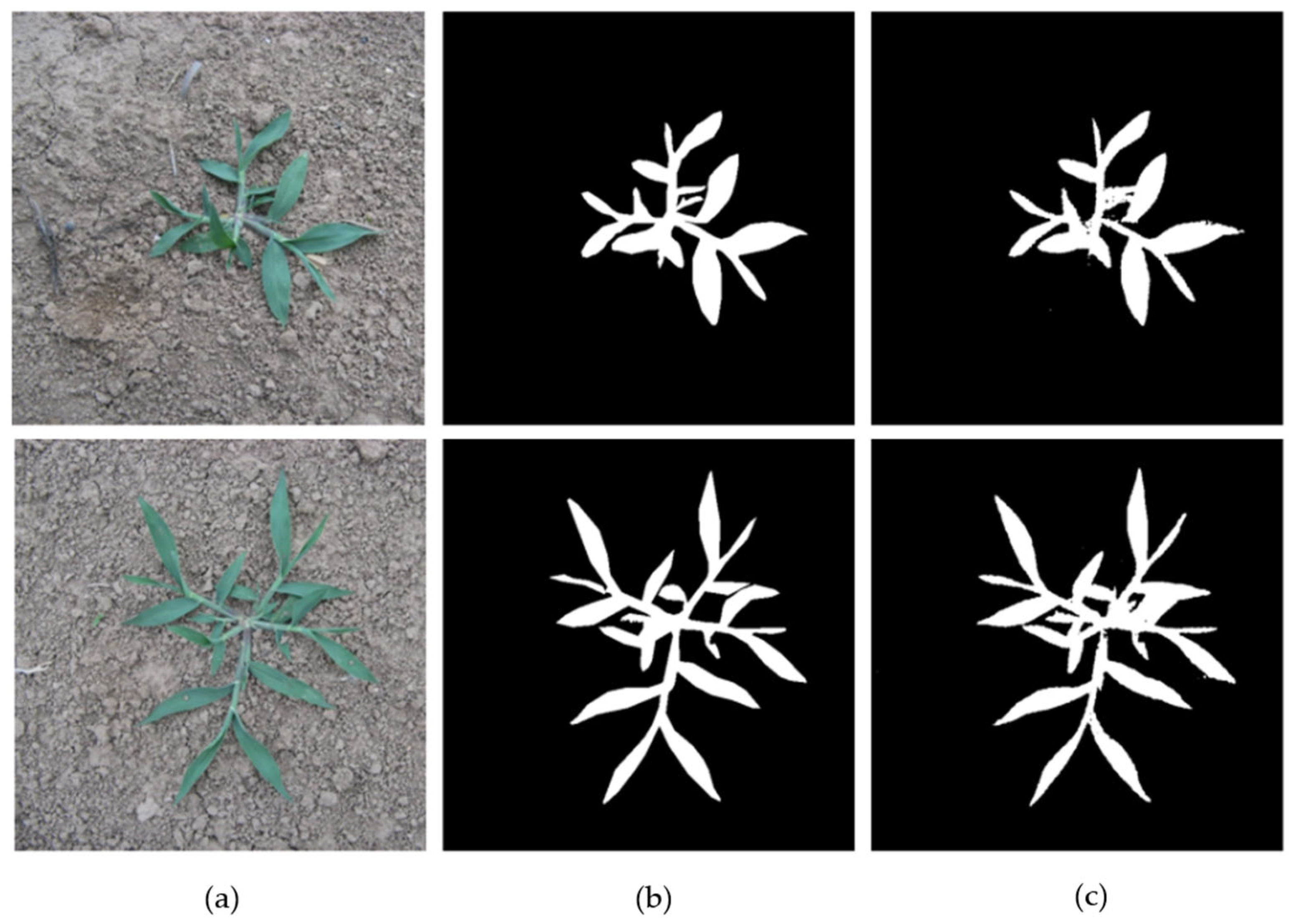 Agriculture 15 00521 g003