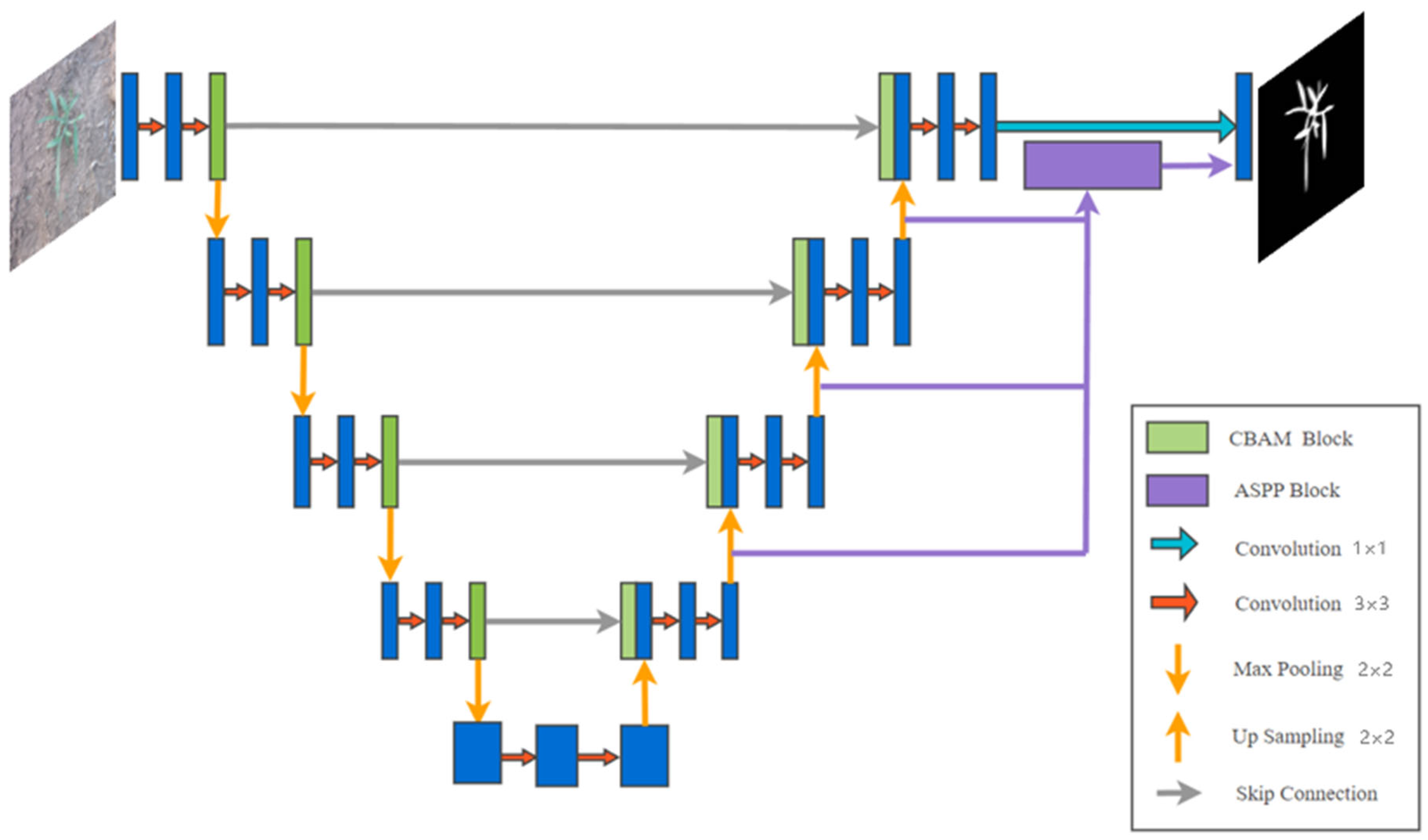 Agriculture 15 00521 g004
