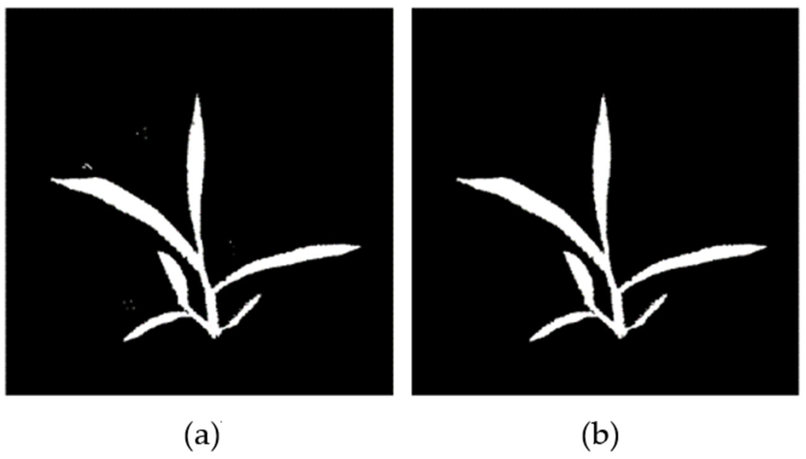 Agriculture 15 00521 g006