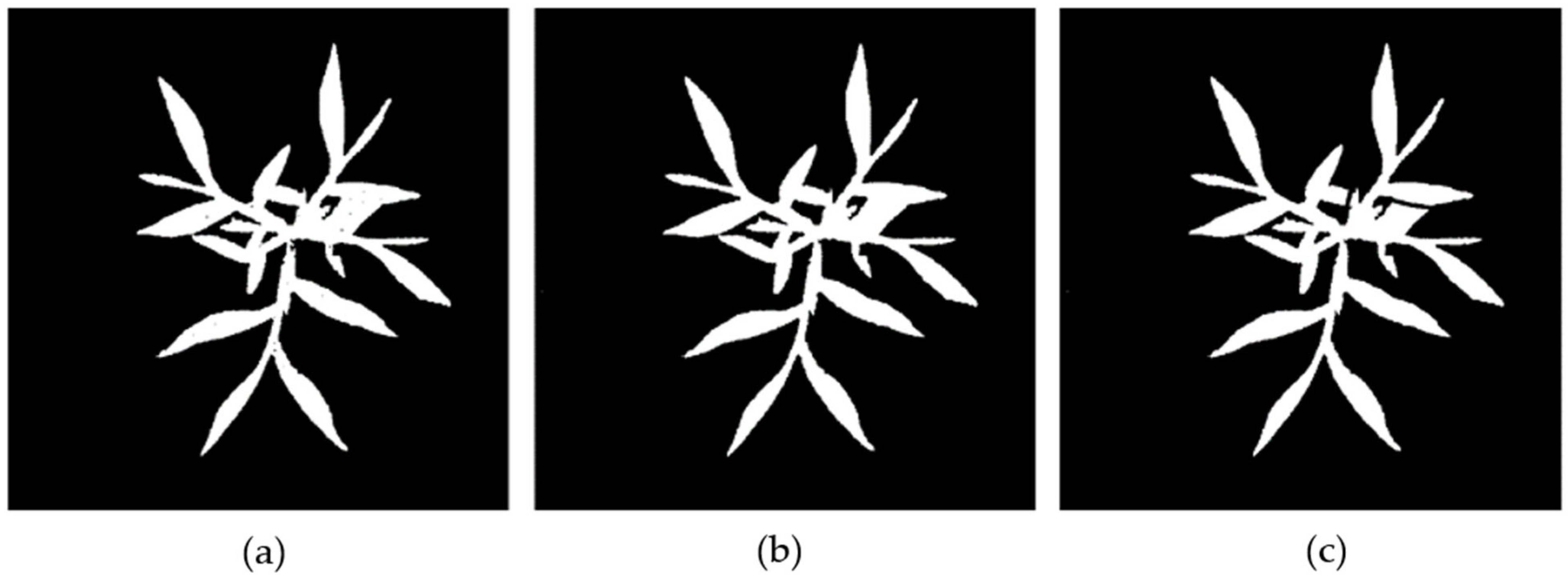 Agriculture 15 00521 g007
