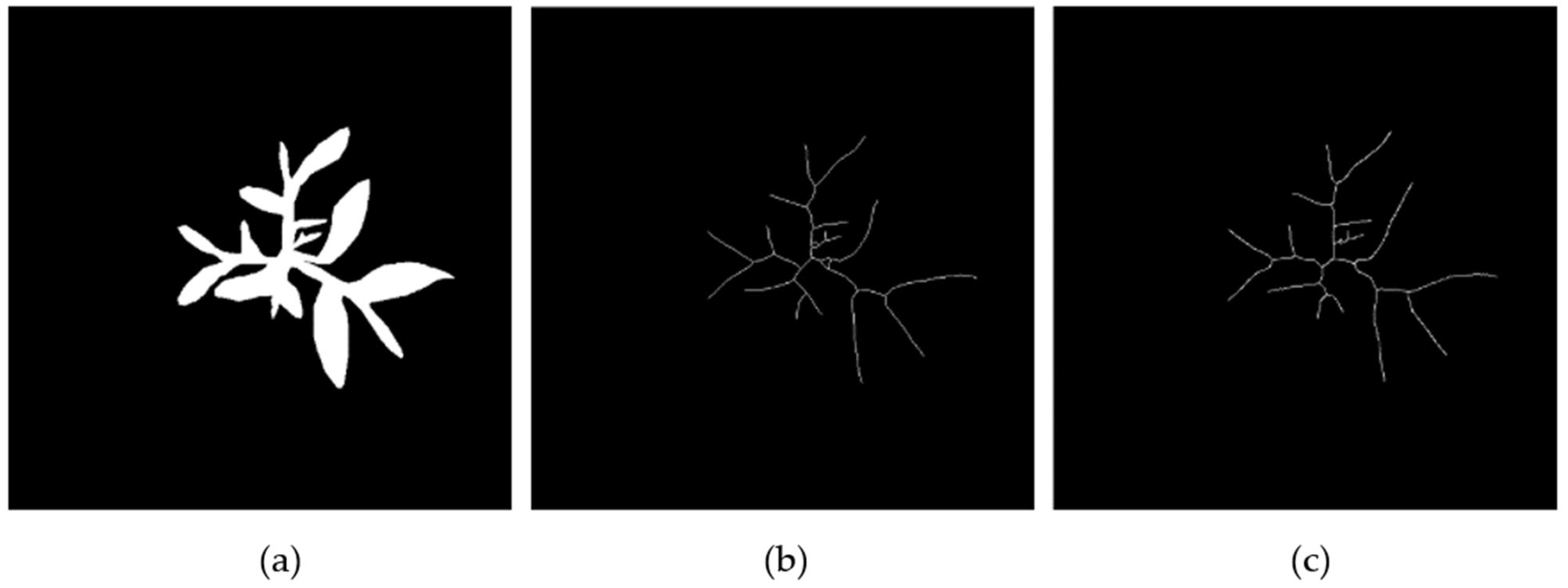 Agriculture 15 00521 g008