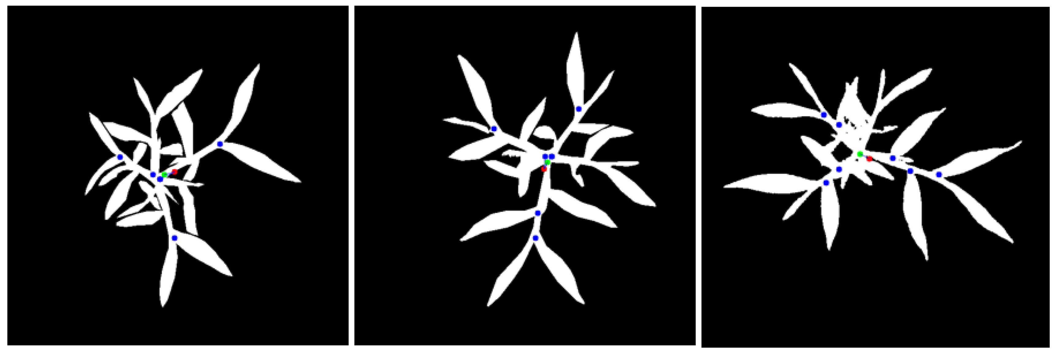 Agriculture 15 00521 g010