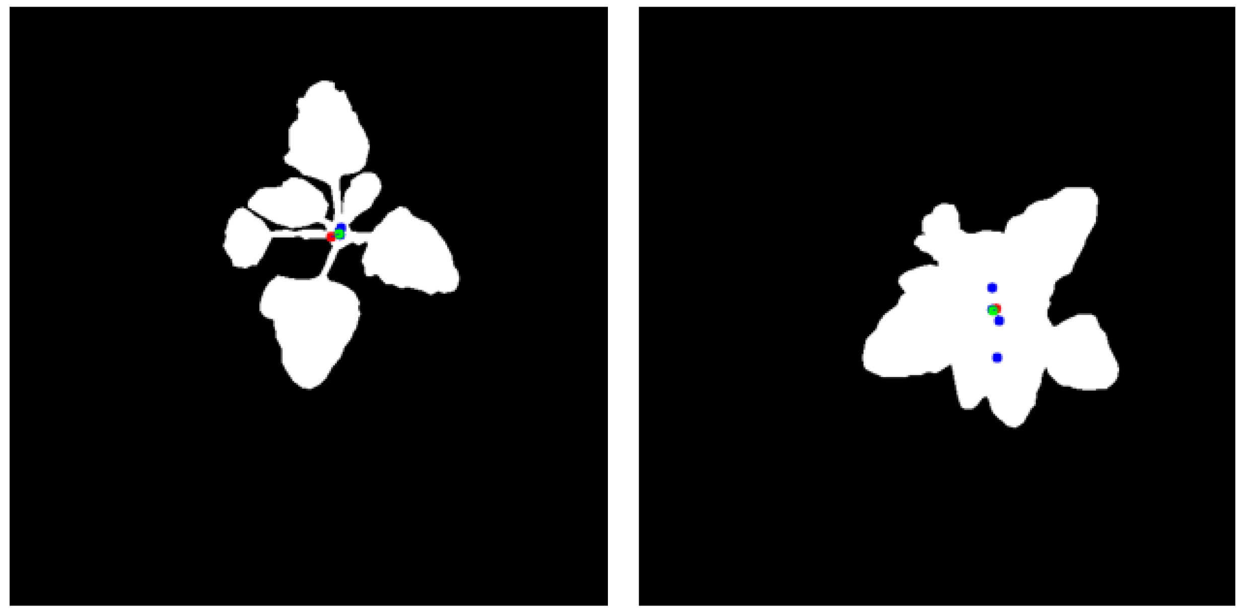 Agriculture 15 00521 g011