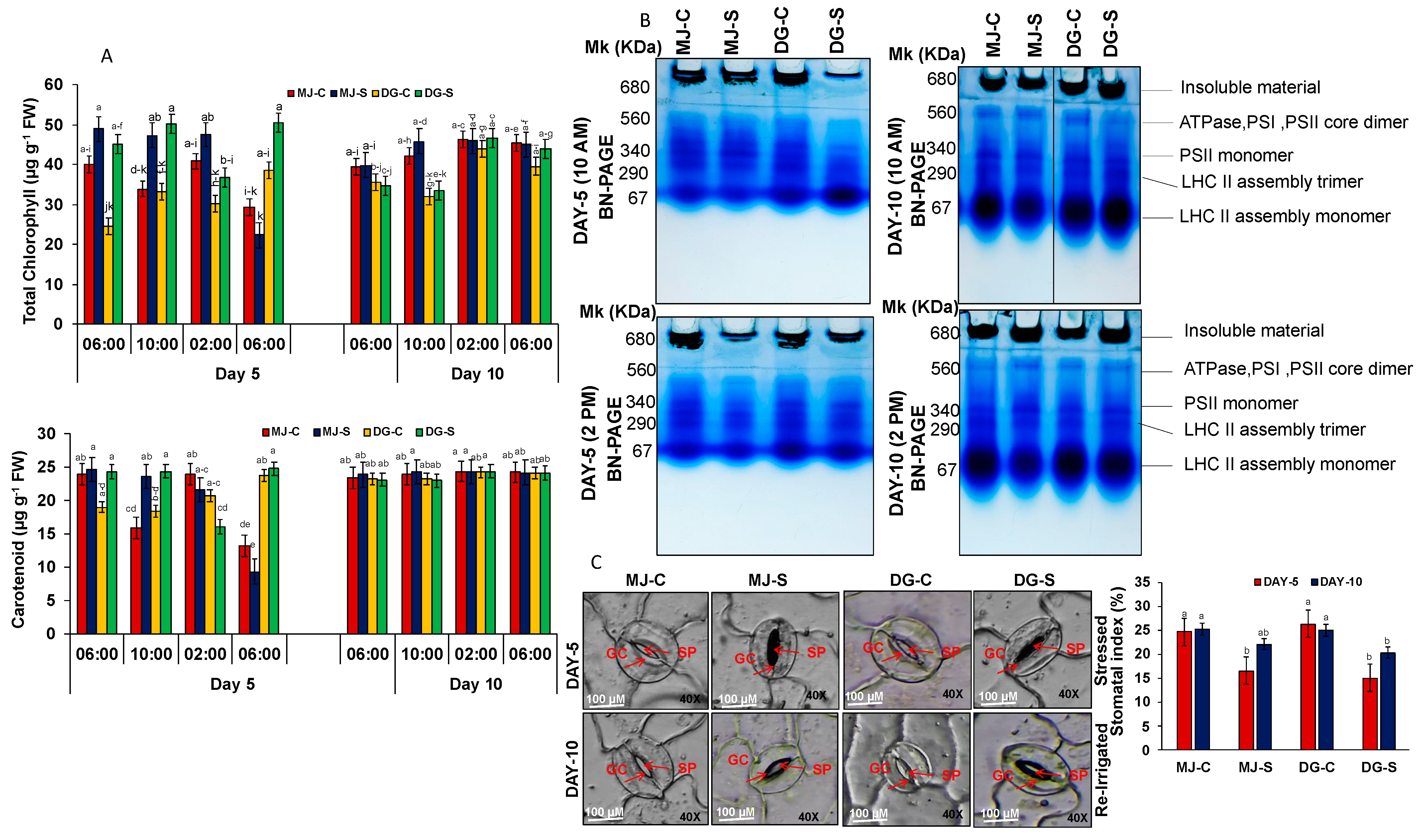 Agriculture 15 00522 g003