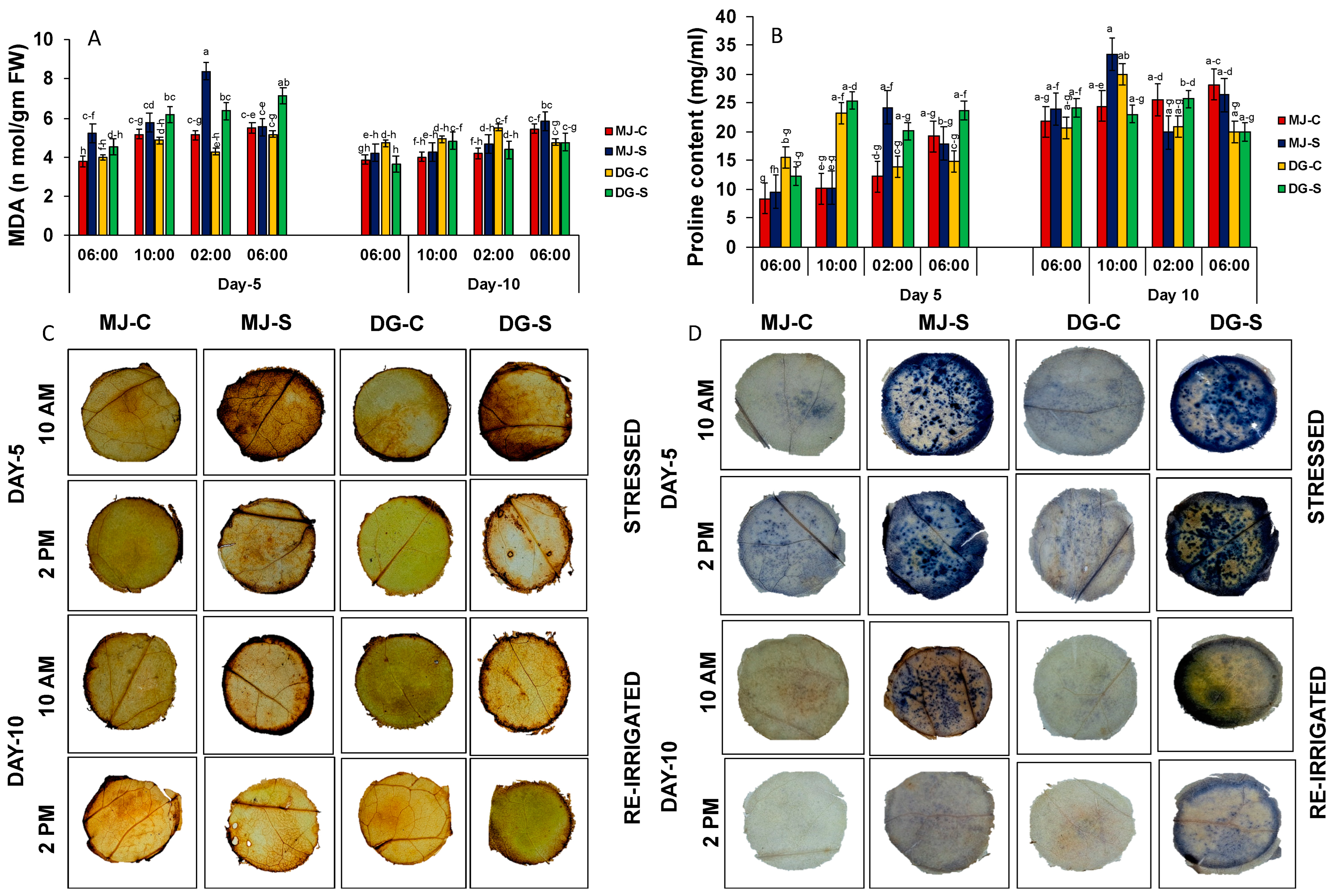 Agriculture 15 00522 g004