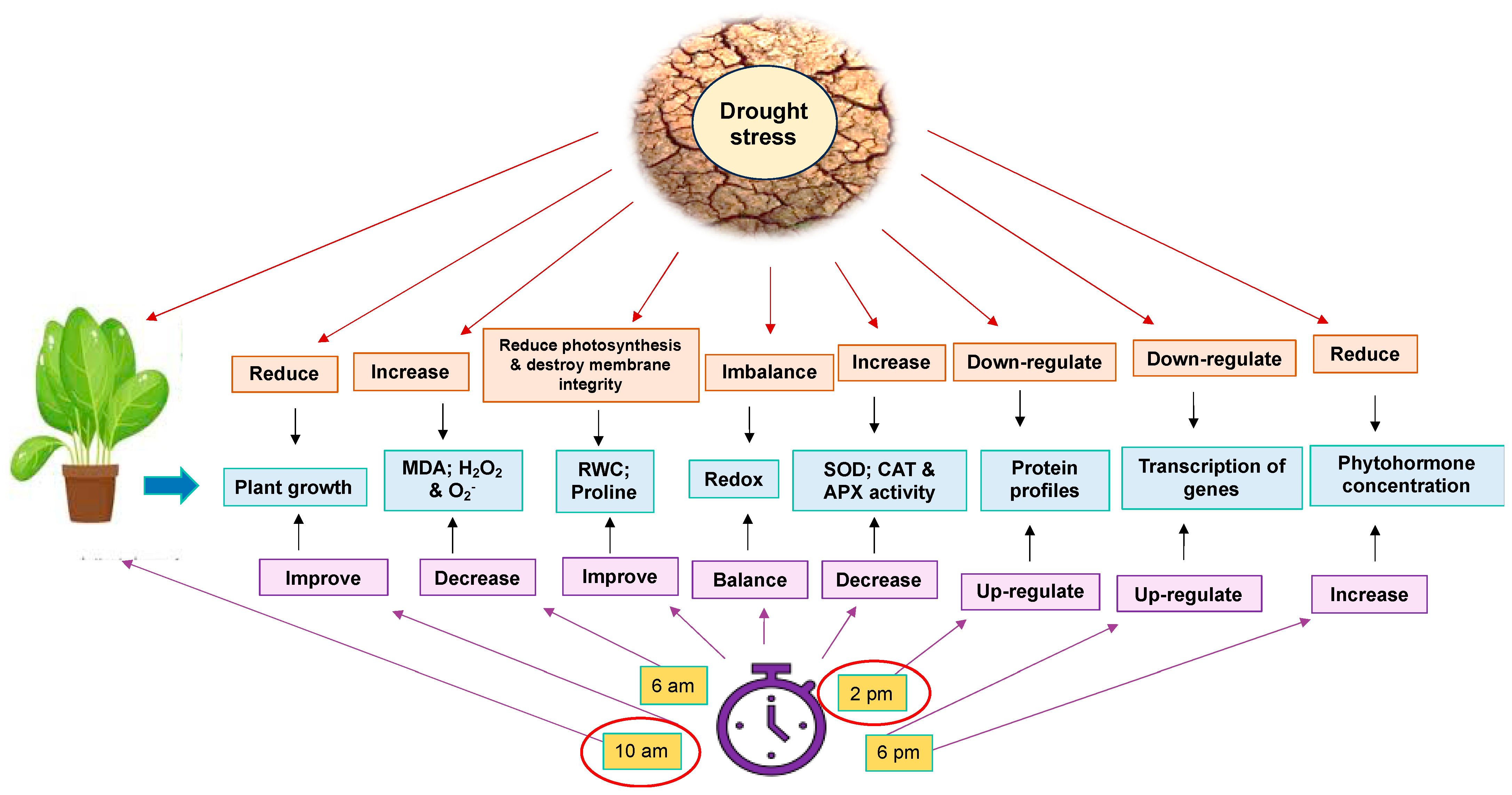 Agriculture 15 00522 g011