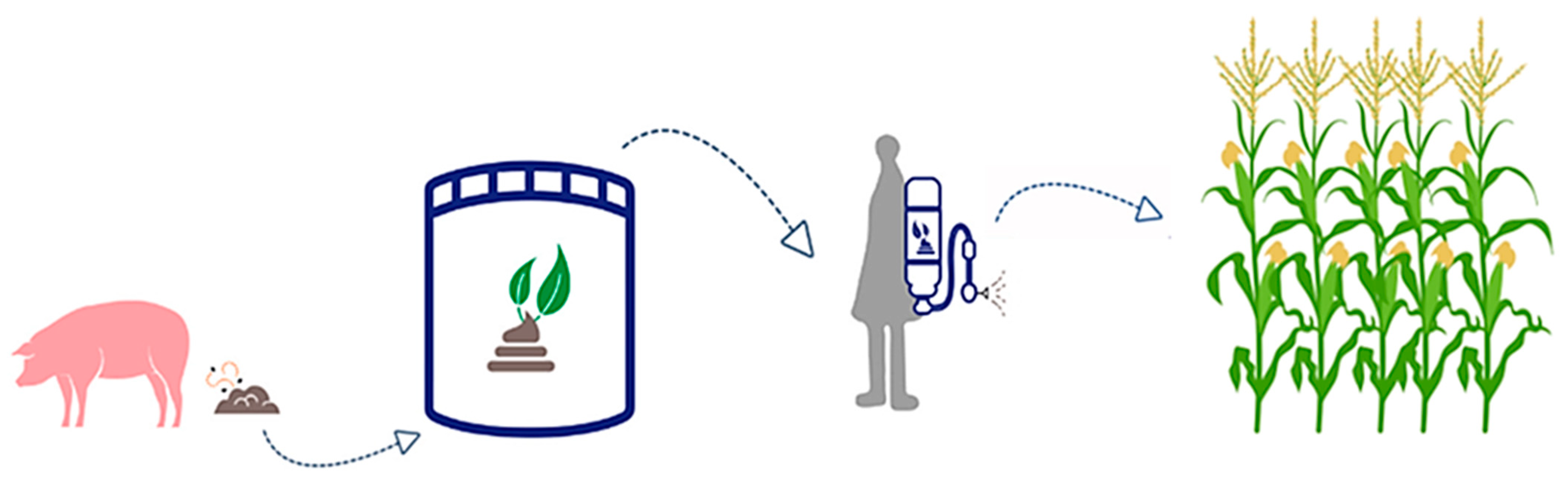 Agriculture 15 00534 g002