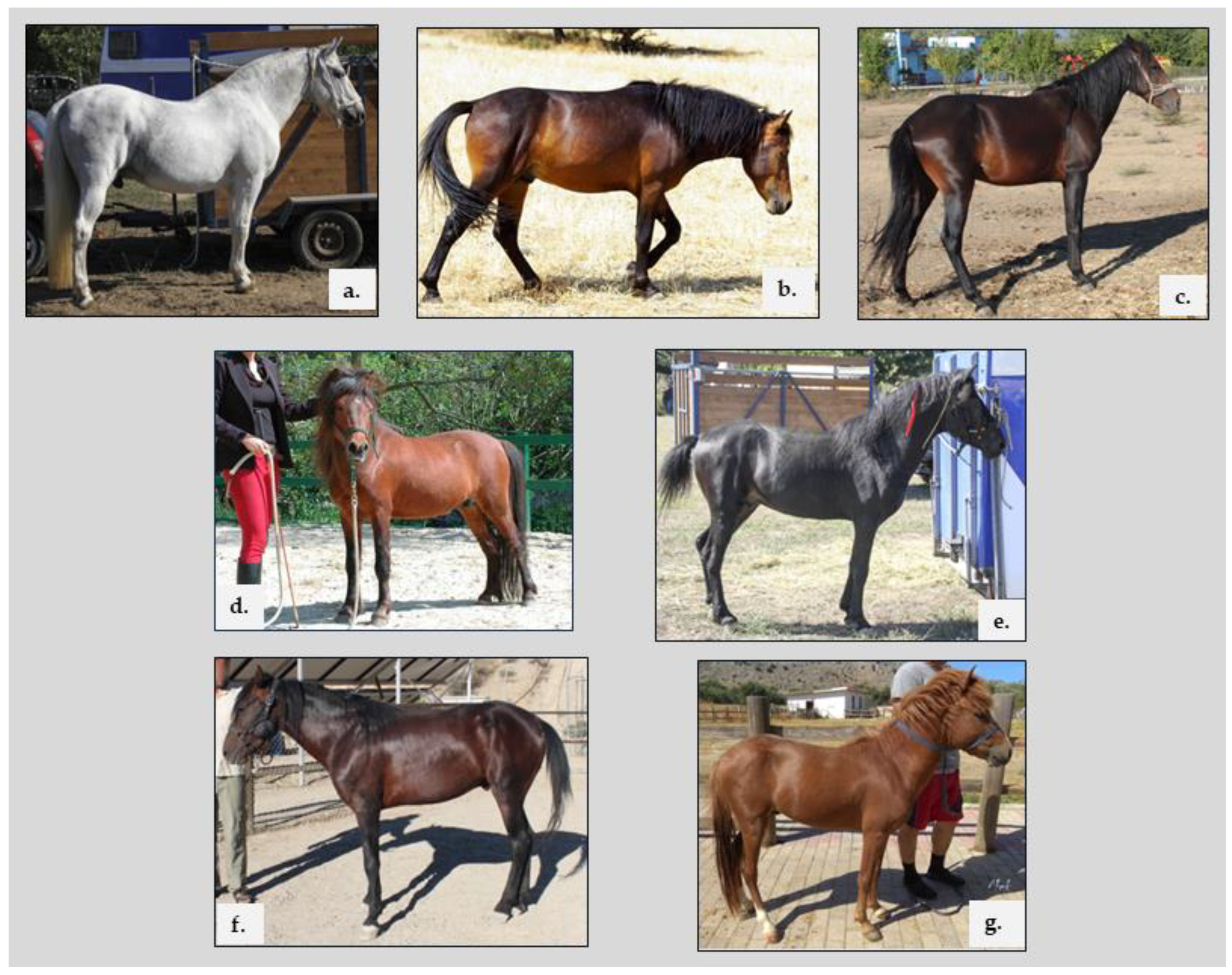 Agriculture 15 00540 g002