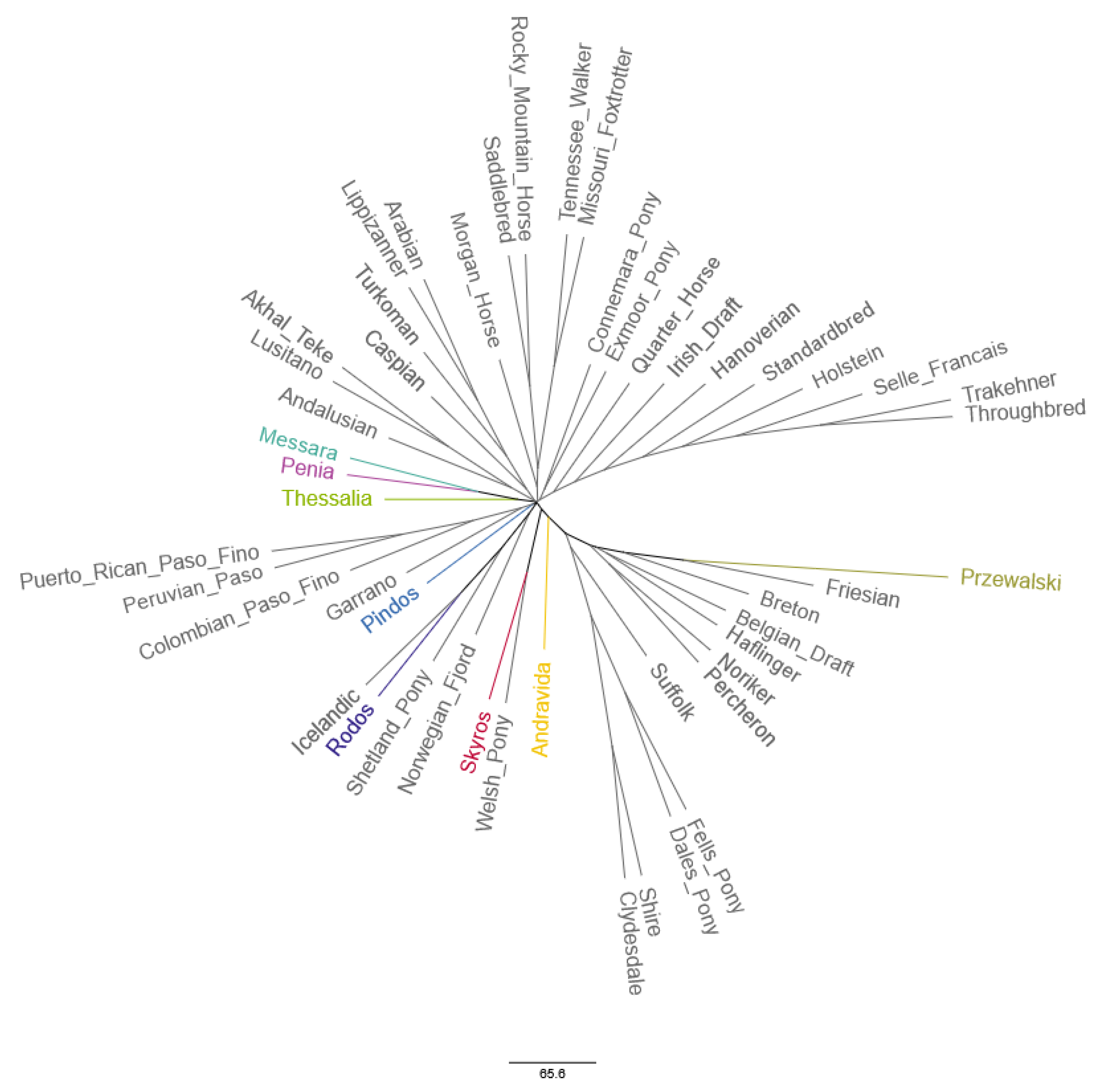 Agriculture 15 00540 g008