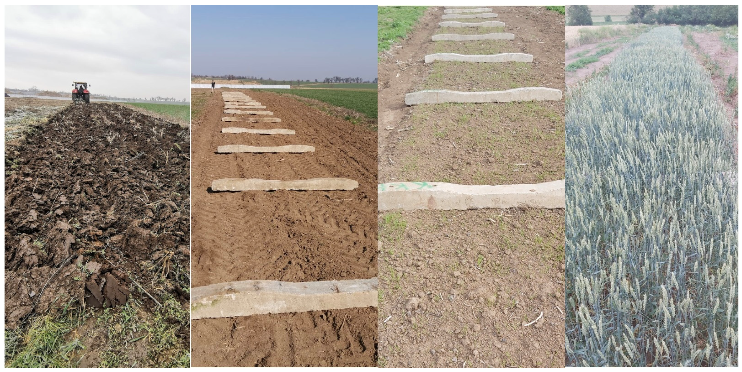 Agriculture 15 00551 g001 Agriculture 15 00551 g001