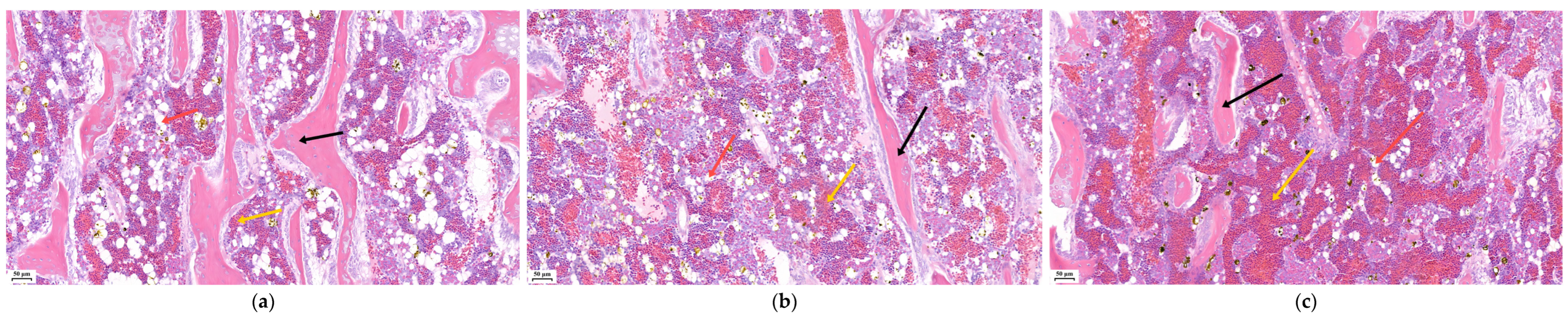 Agriculture 15 00553 g002