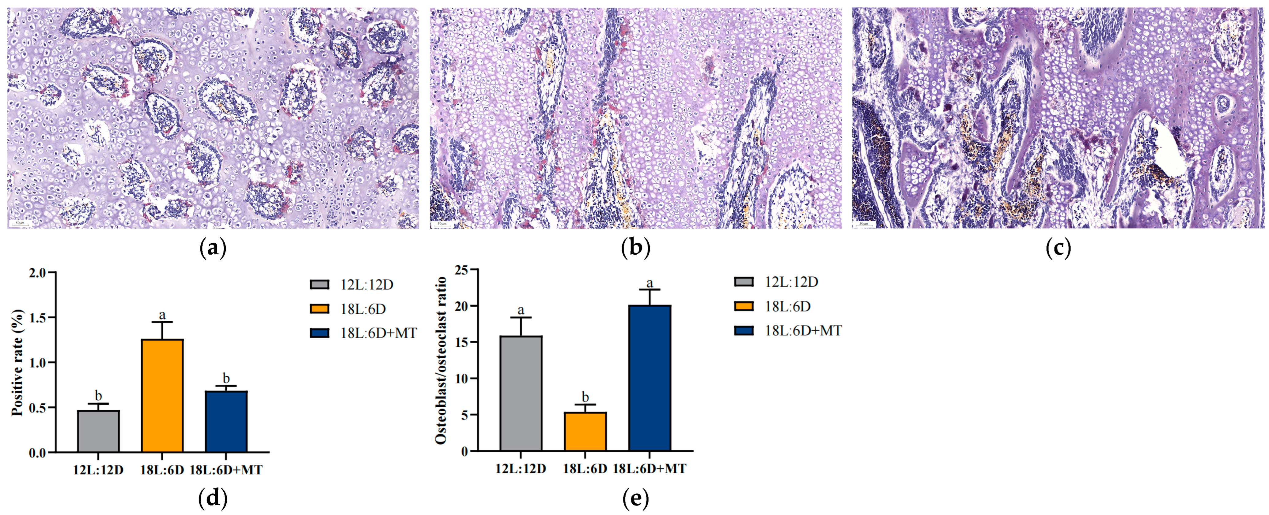 Agriculture 15 00553 g004