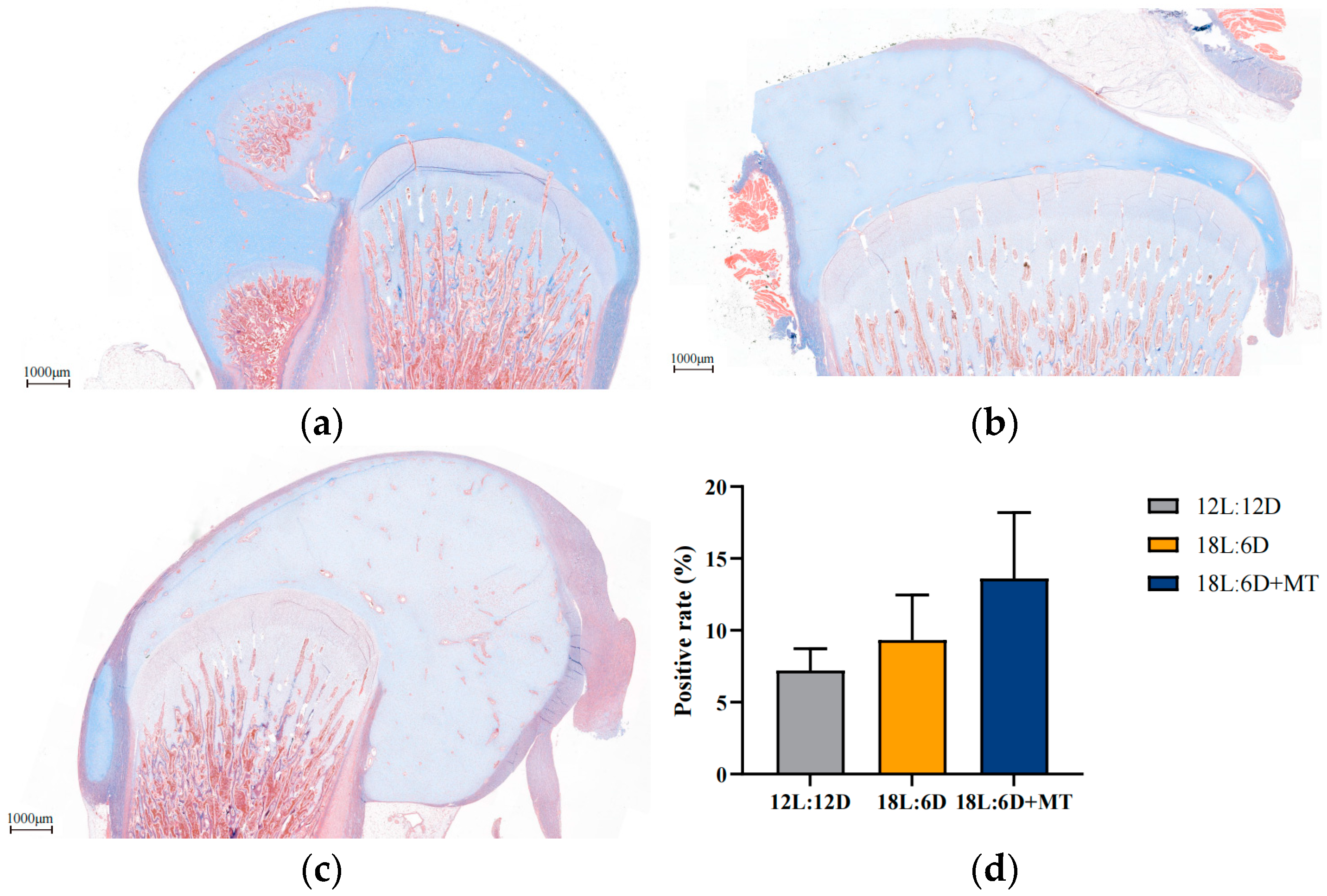 Agriculture 15 00553 g005