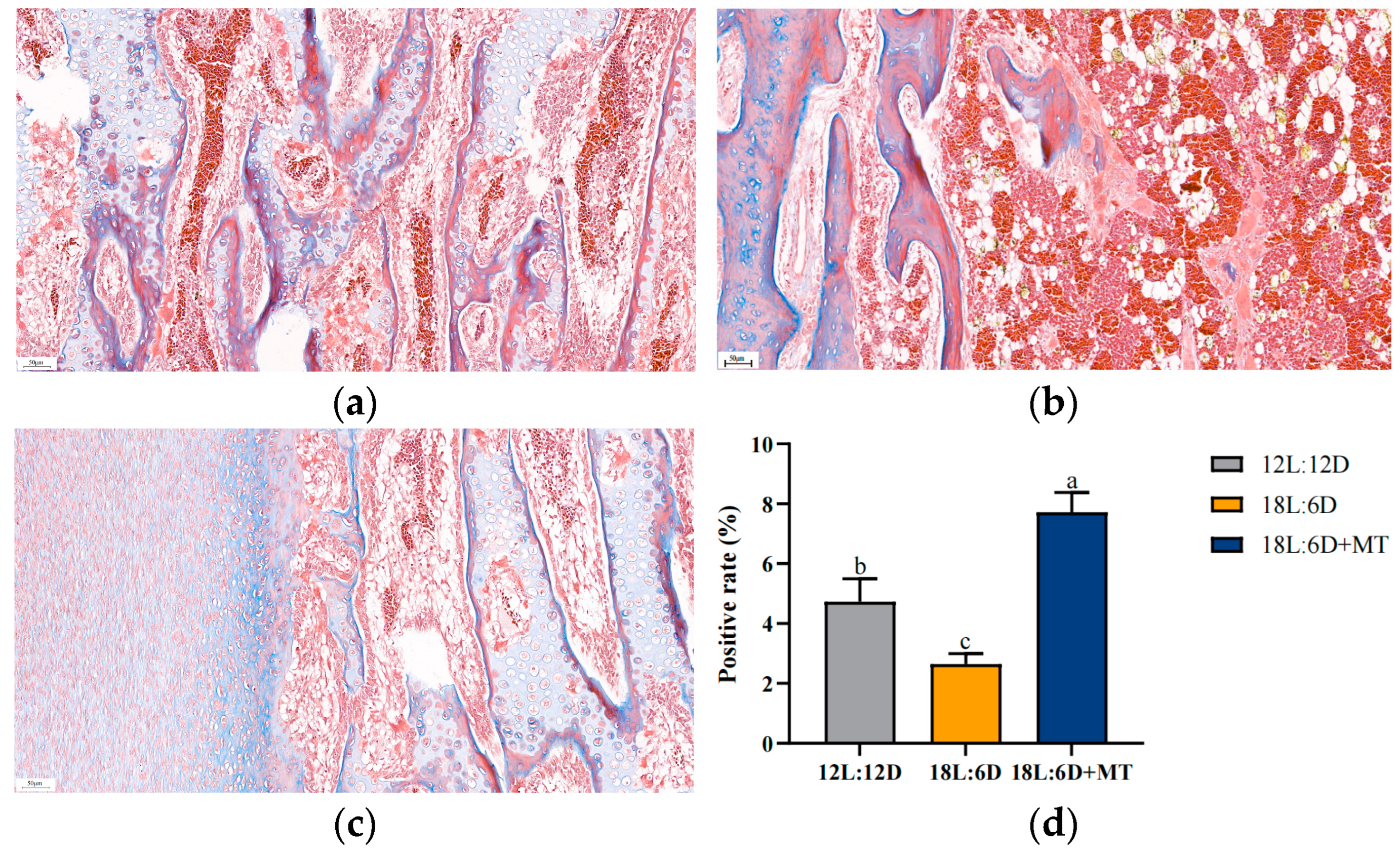 Agriculture 15 00553 g006