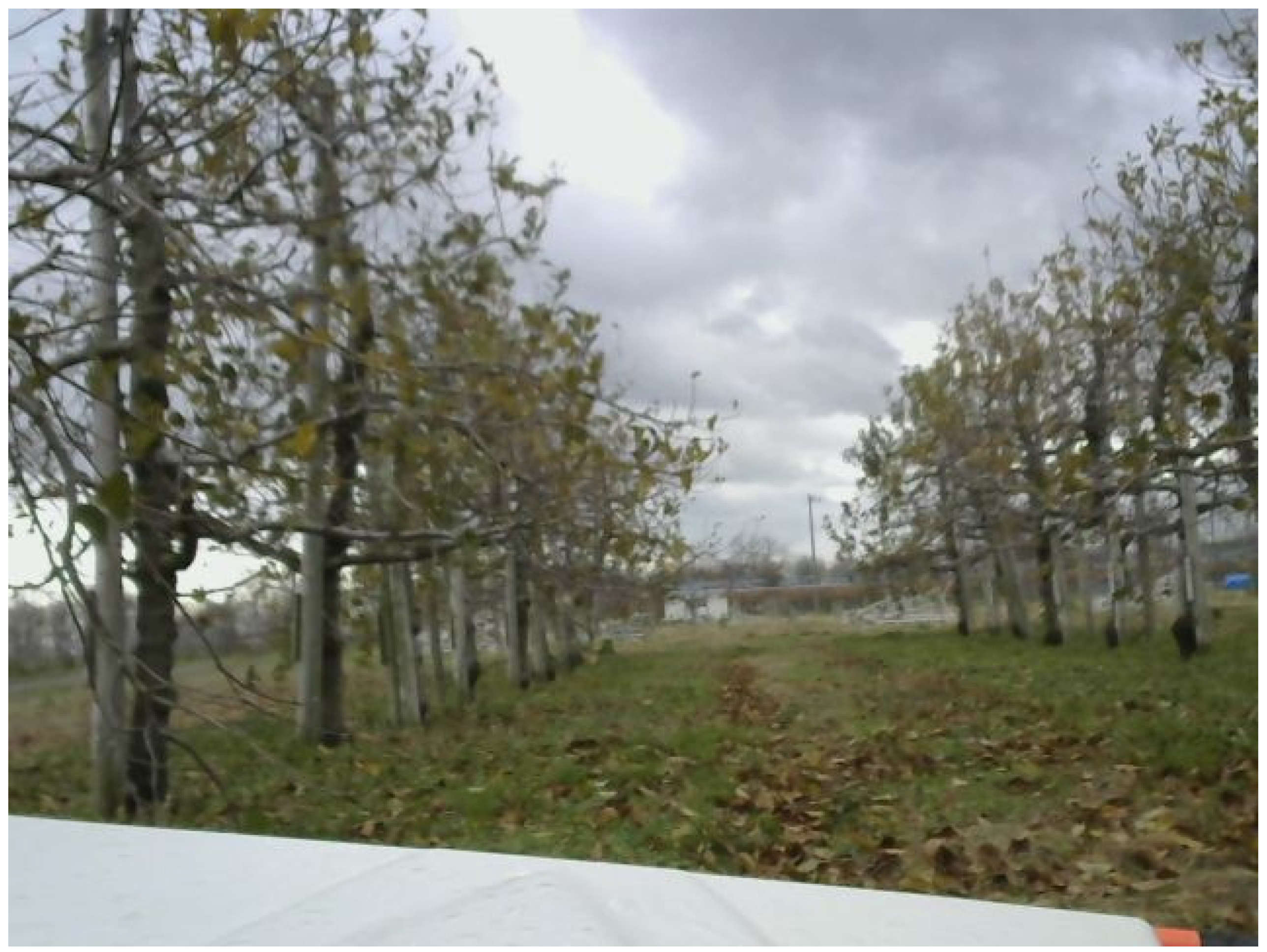 Agriculture 15 00564 g003