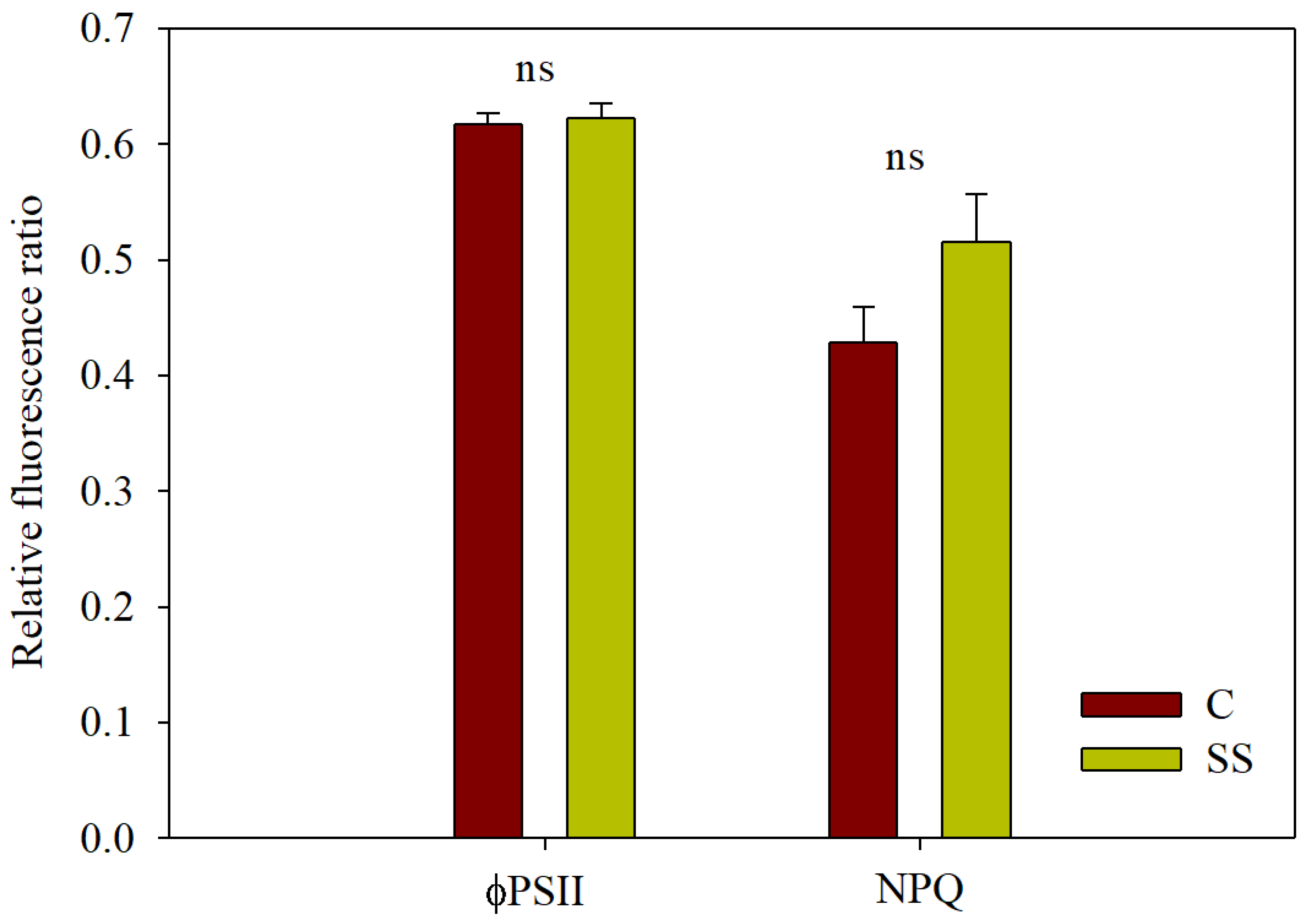 Agriculture 15 00569 g004