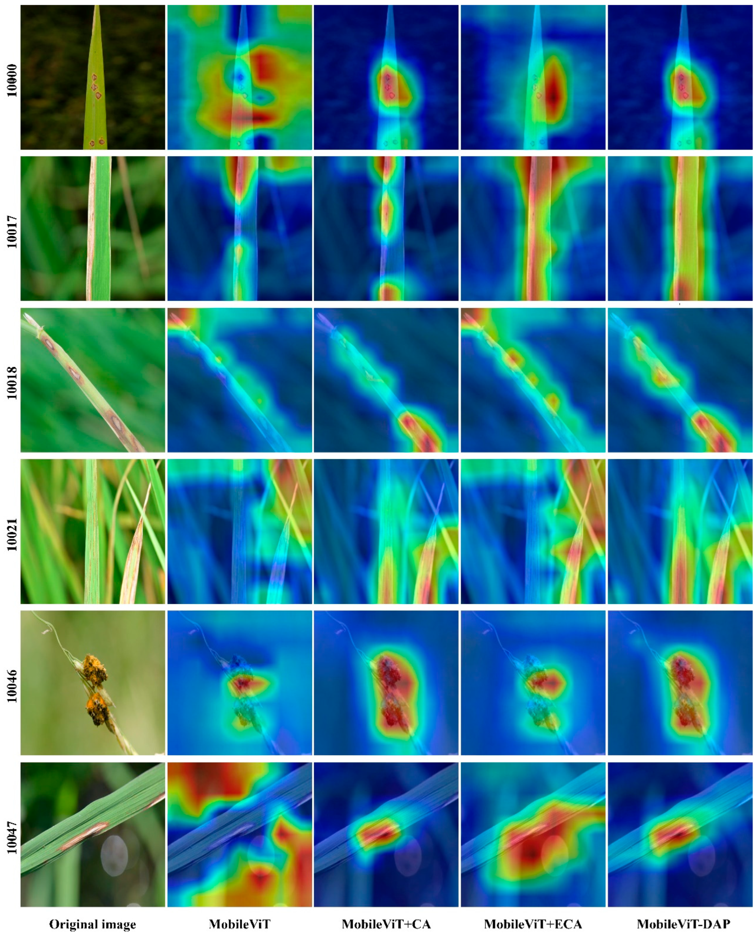 Agriculture 15 00571 g009