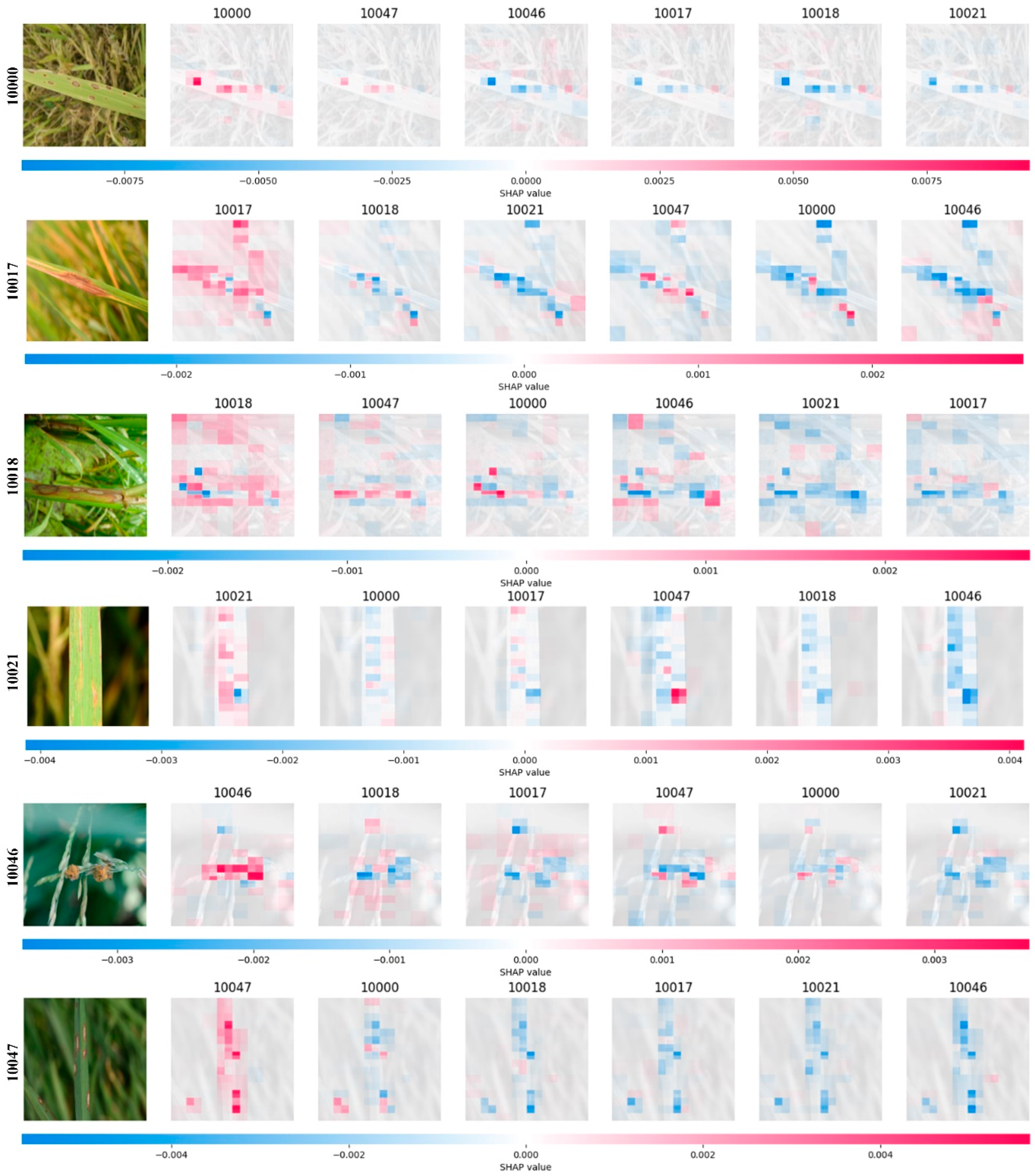 Agriculture 15 00571 g010