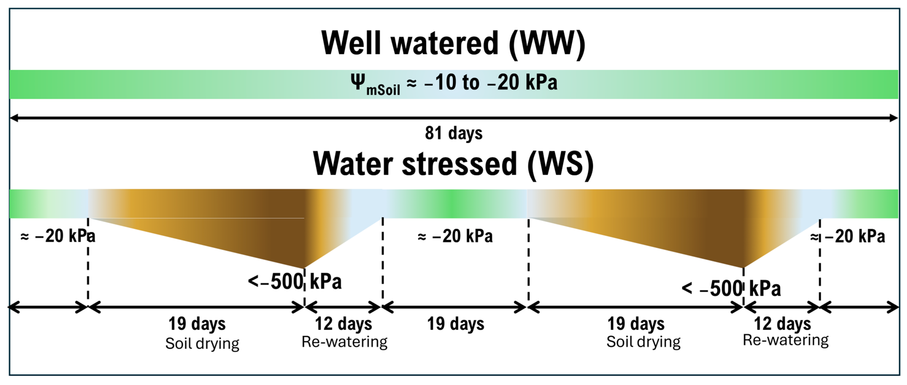 Agriculture 15 00574 g009