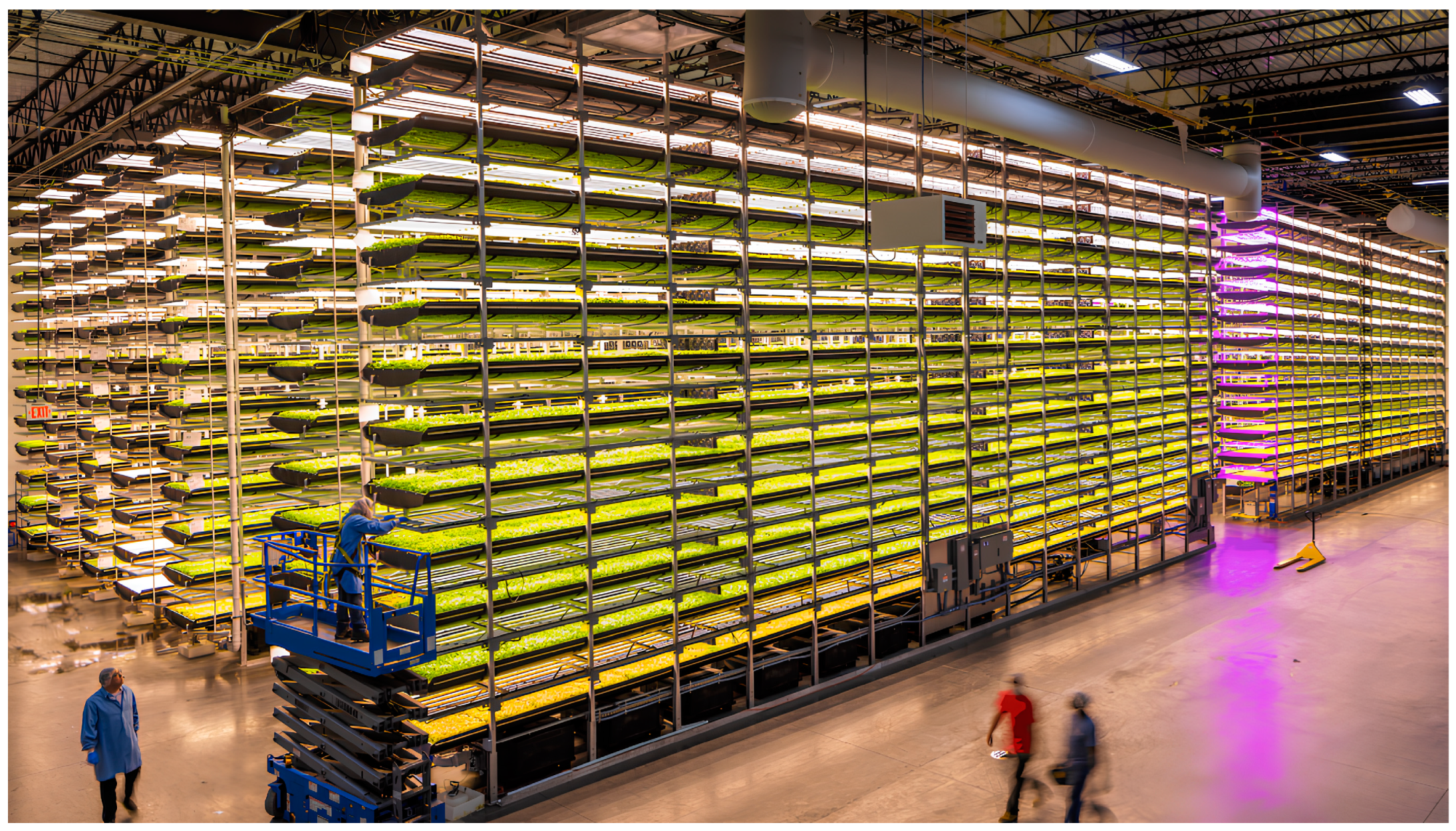 Agriculture 15 00578 g001