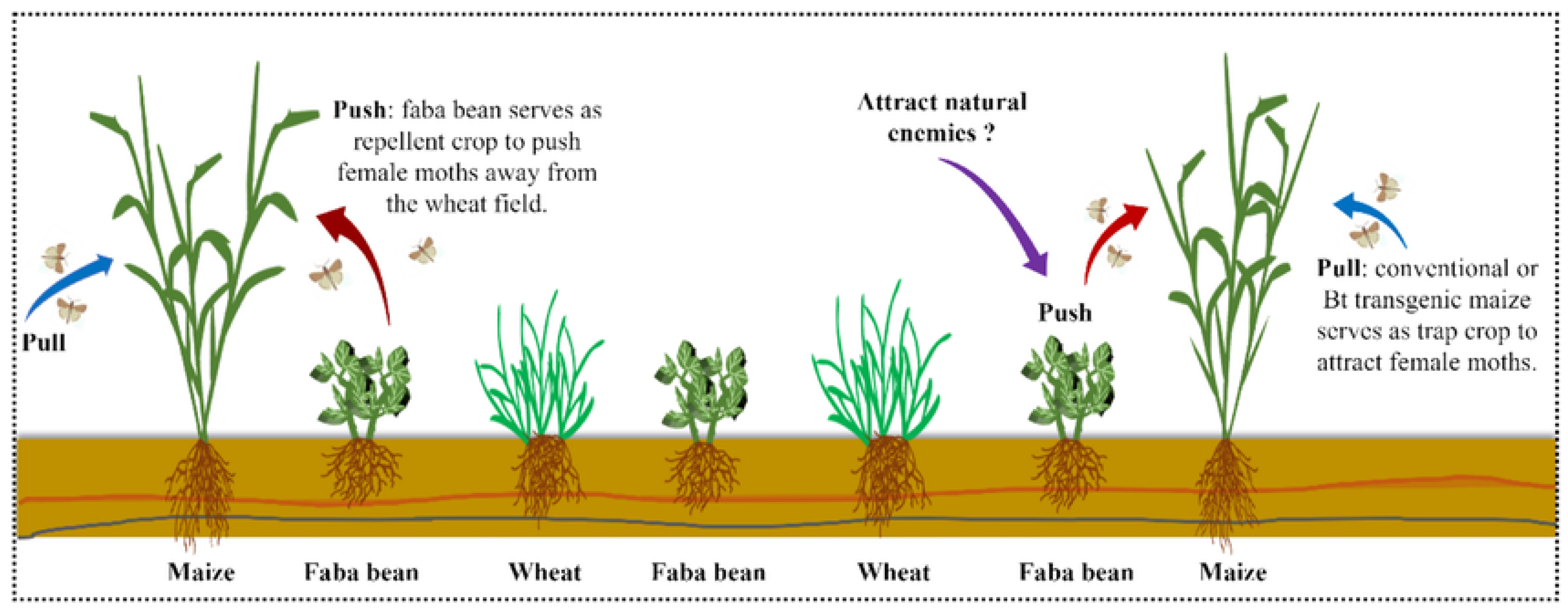 Agriculture 15 00581 g003