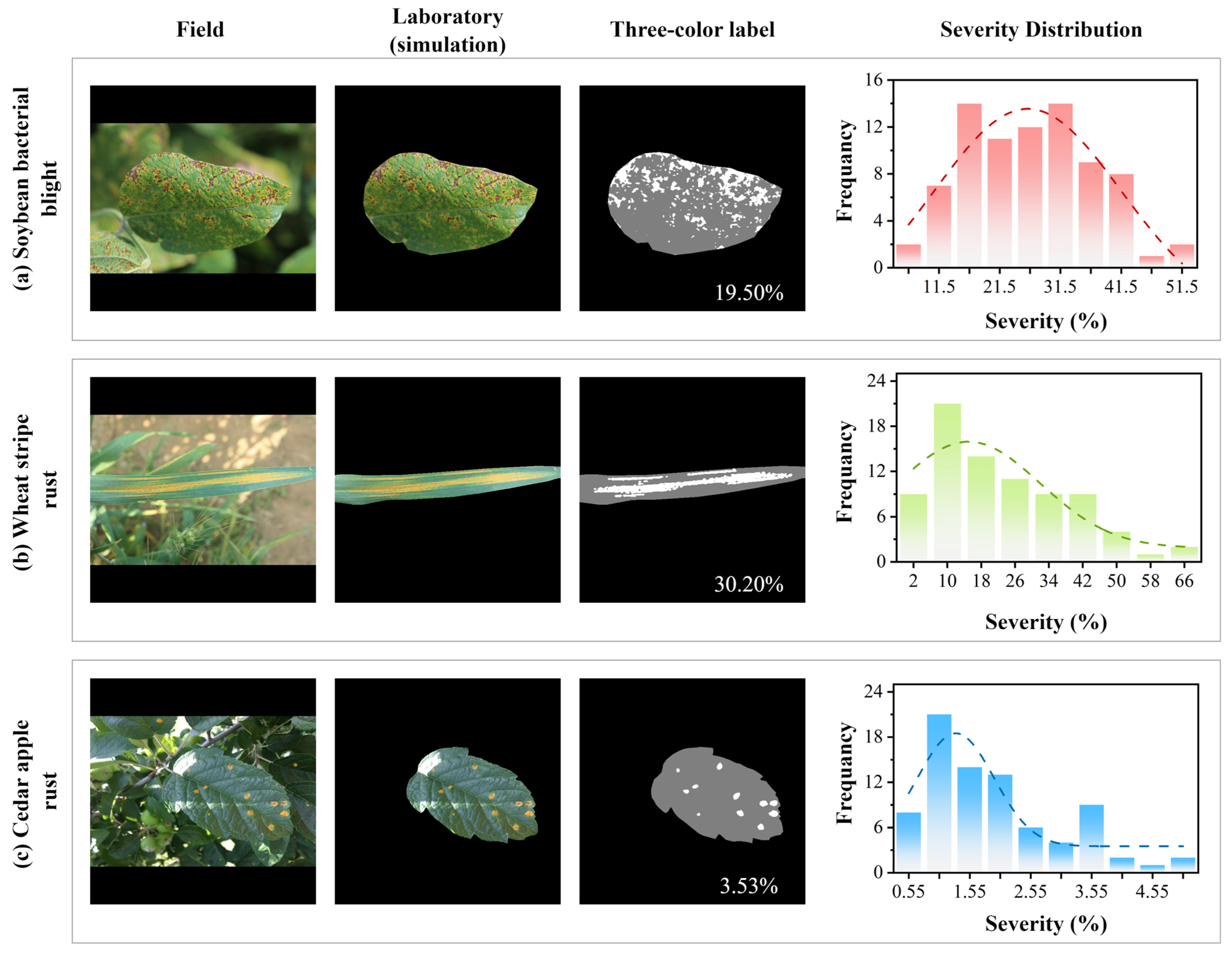 Agriculture 15 00583 g001