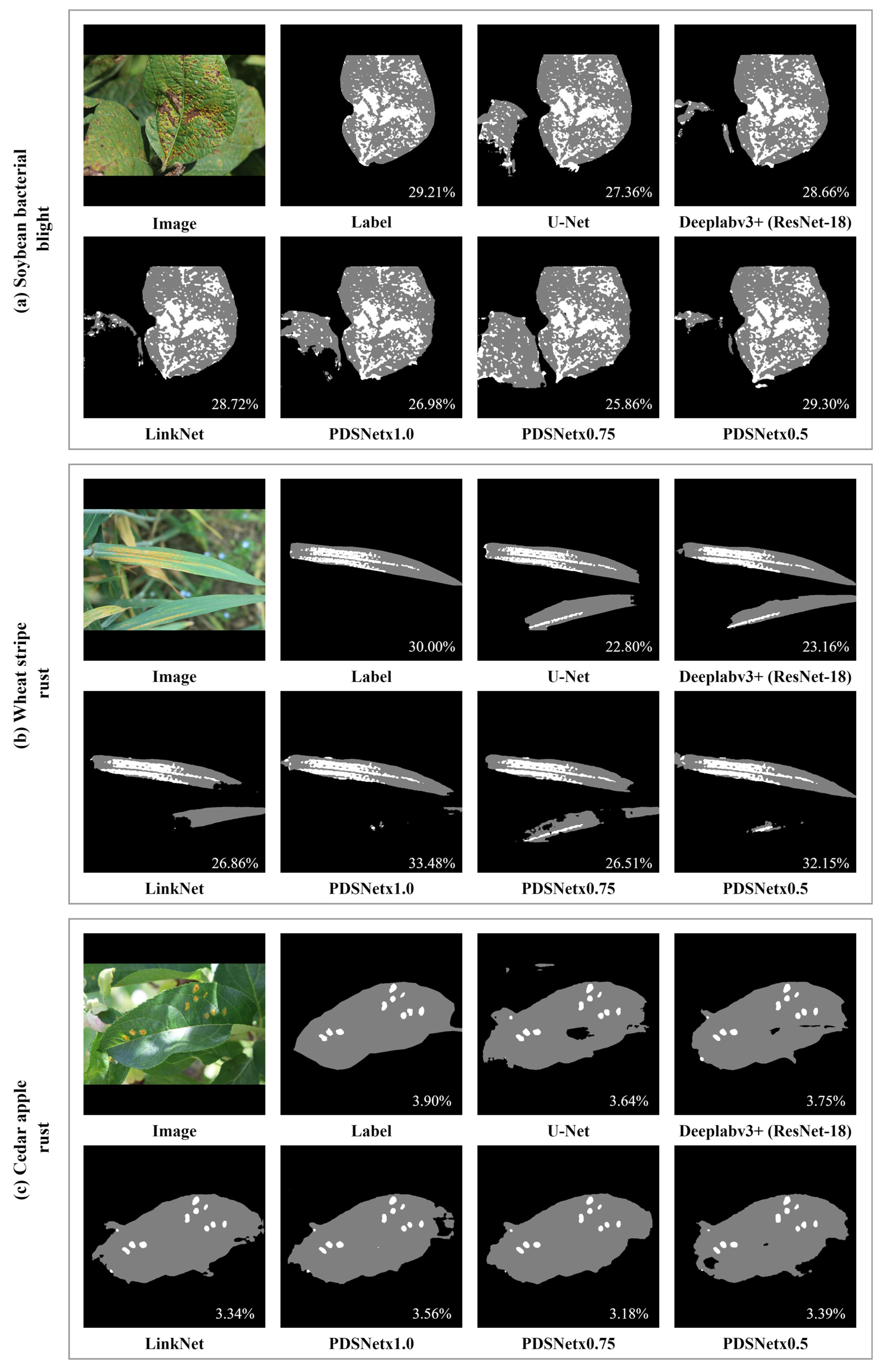 Agriculture 15 00583 g004