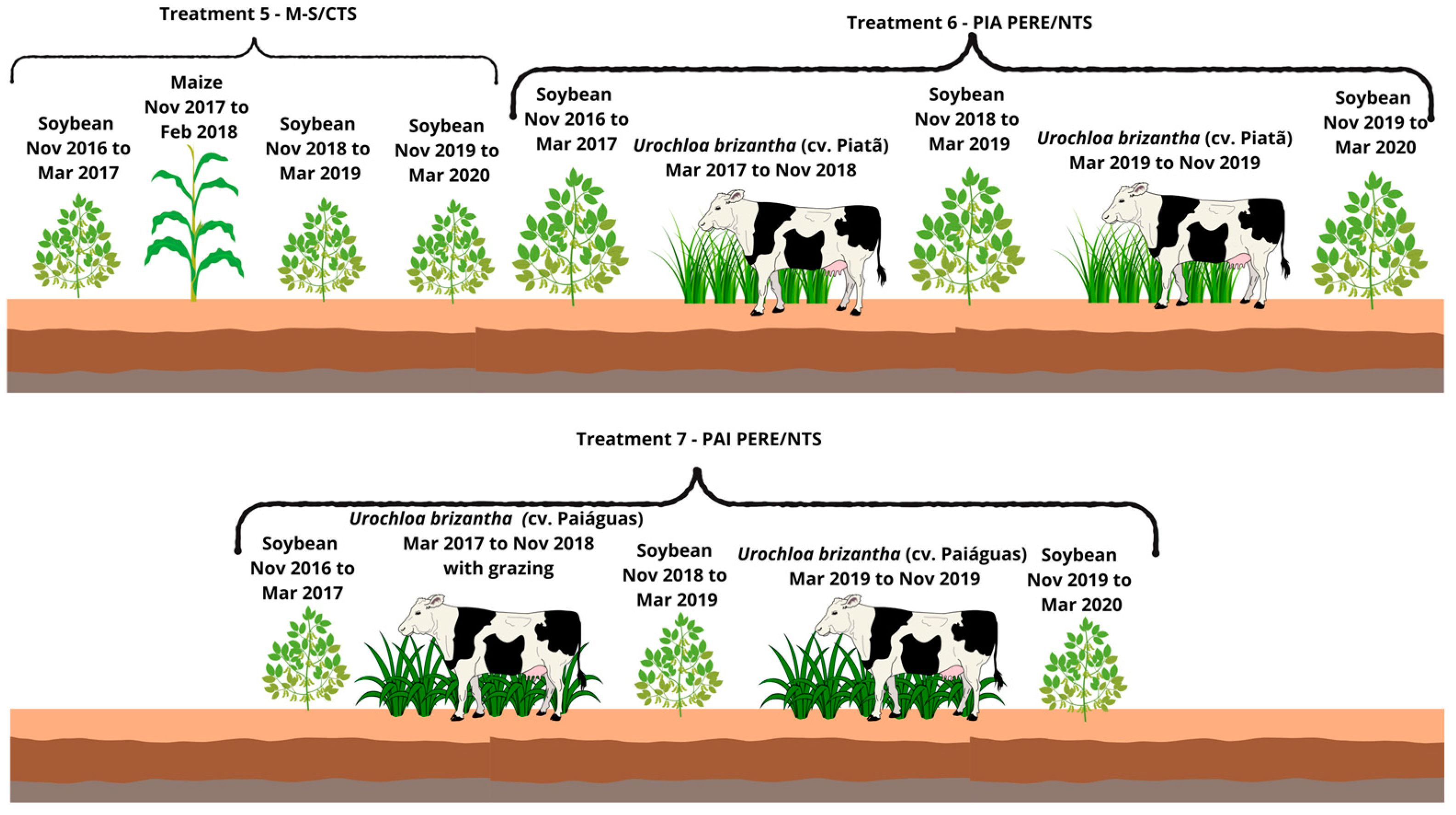 Agriculture 15 00589 g004 Agriculture 15 00589 g004