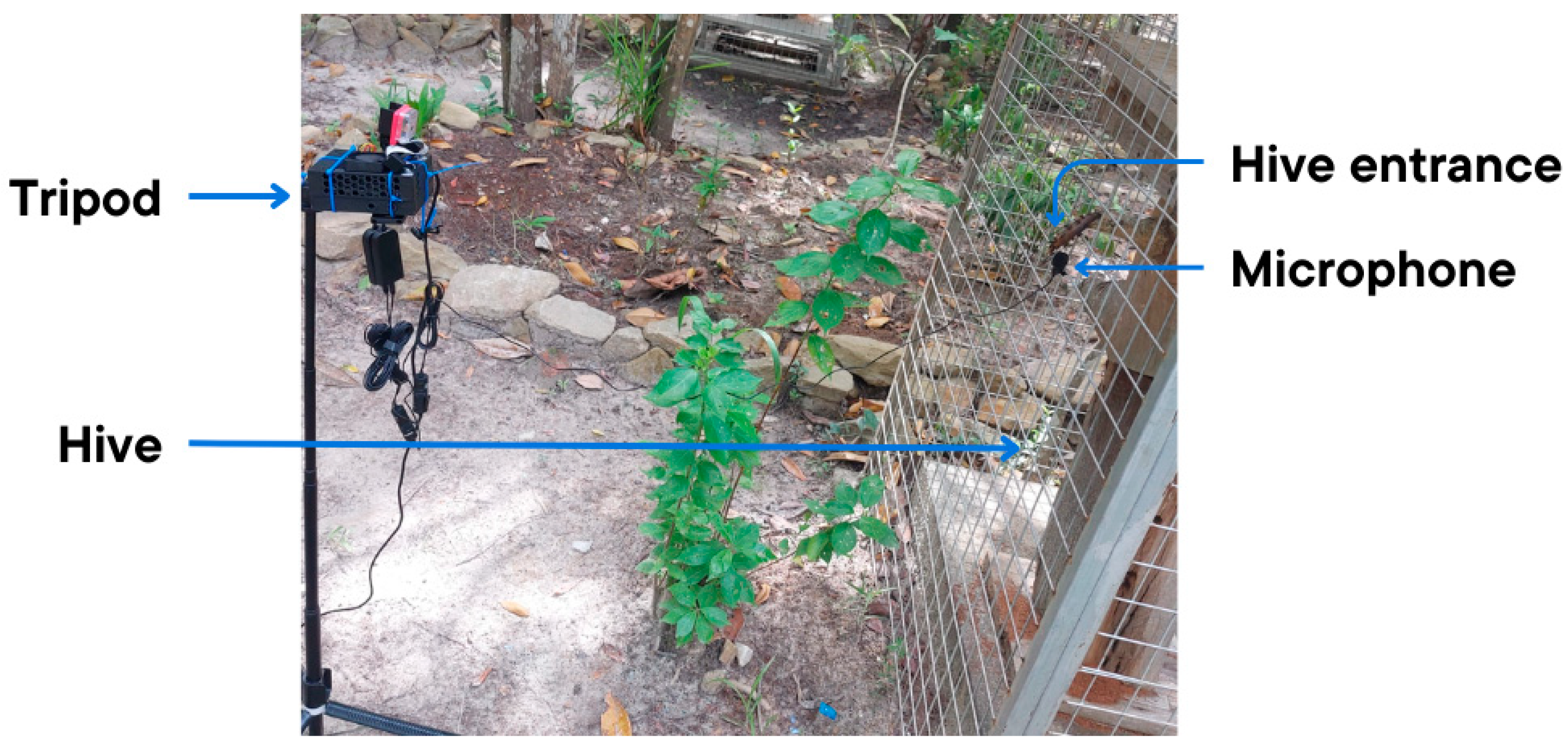 Agriculture 15 00591 g003